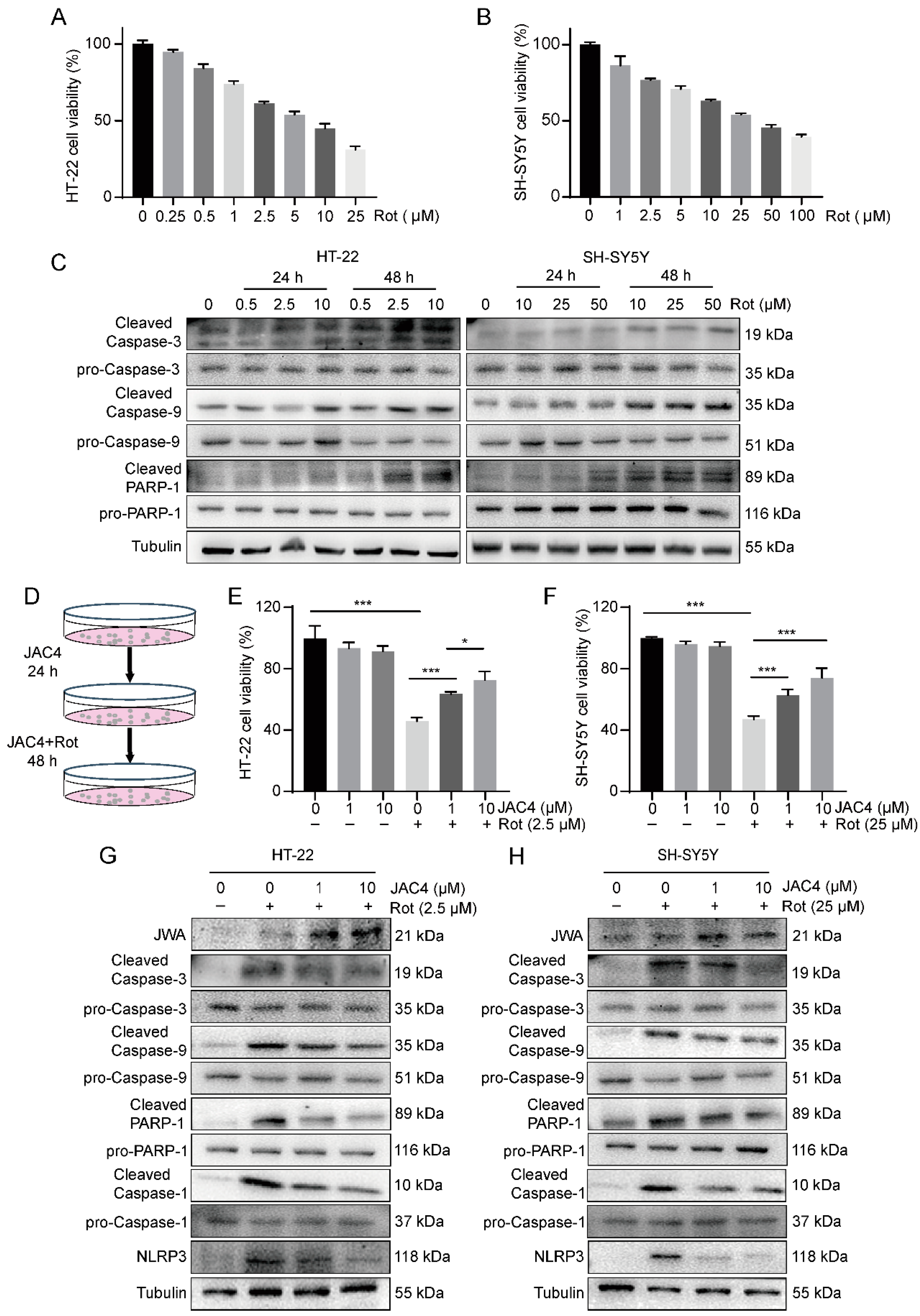Antioxidants 12 01134 g004 Antioxidants 12 01134 g004