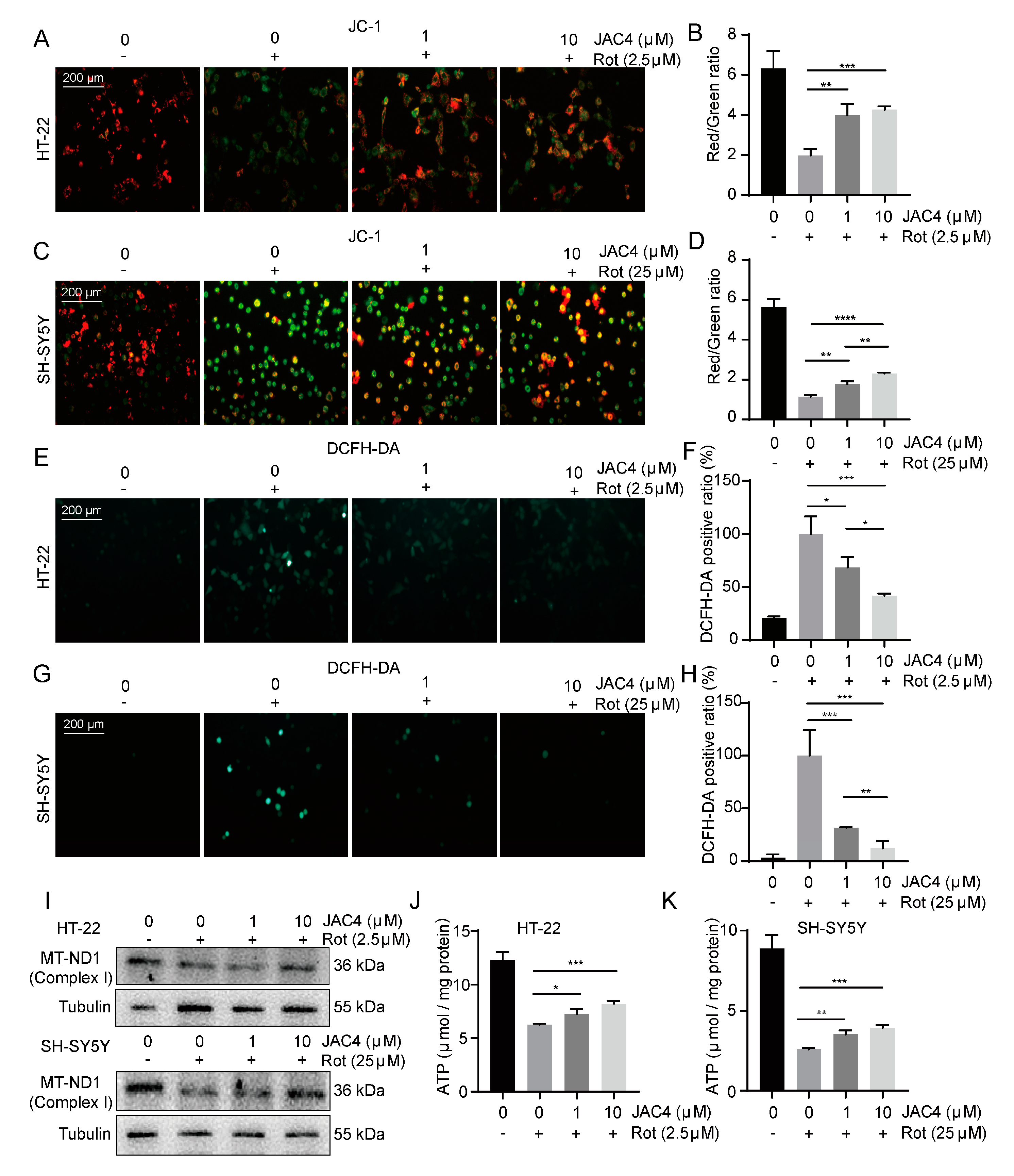 Antioxidants 12 01134 g005 Antioxidants 12 01134 g005