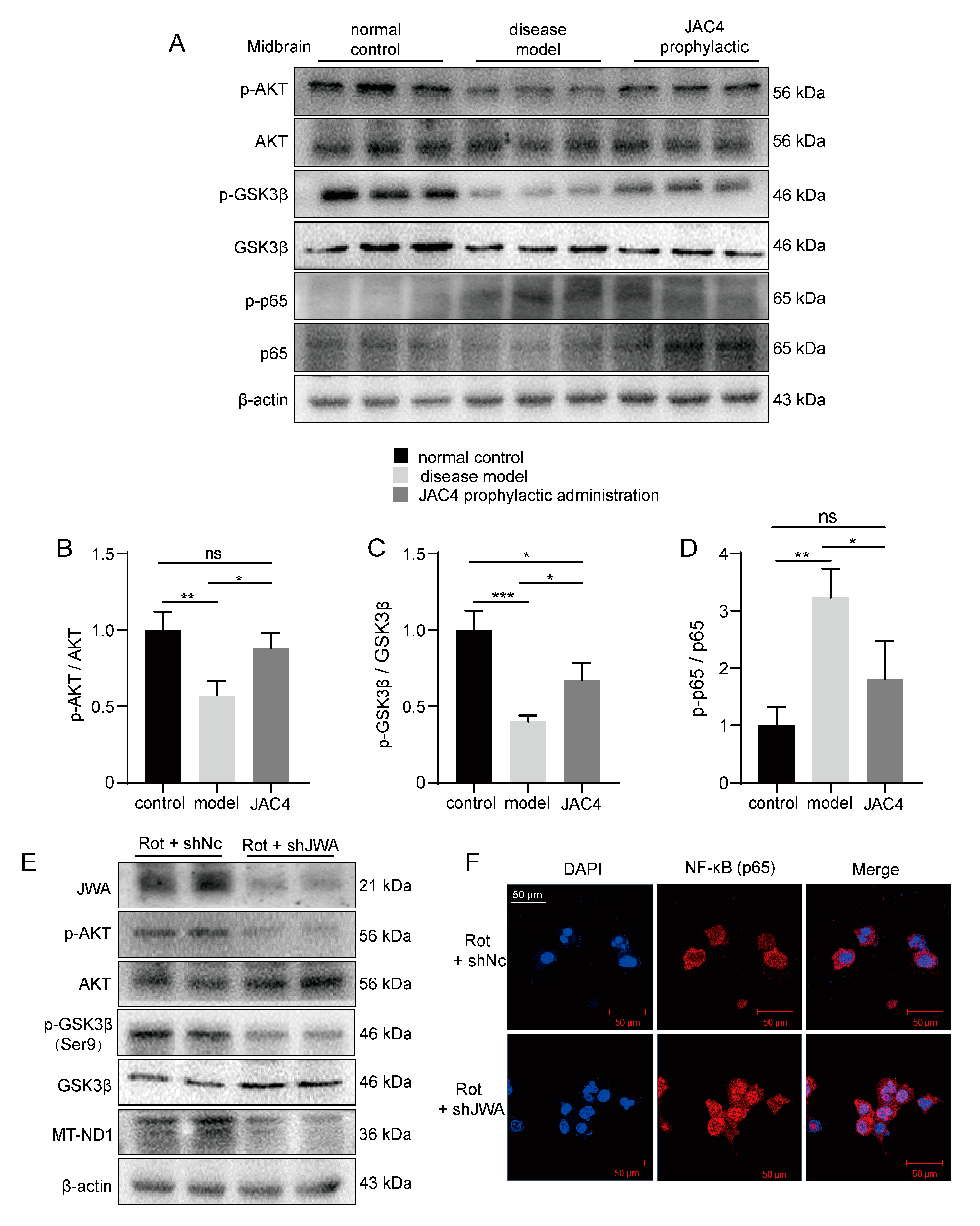 Antioxidants 12 01134 g007 Antioxidants 12 01134 g007