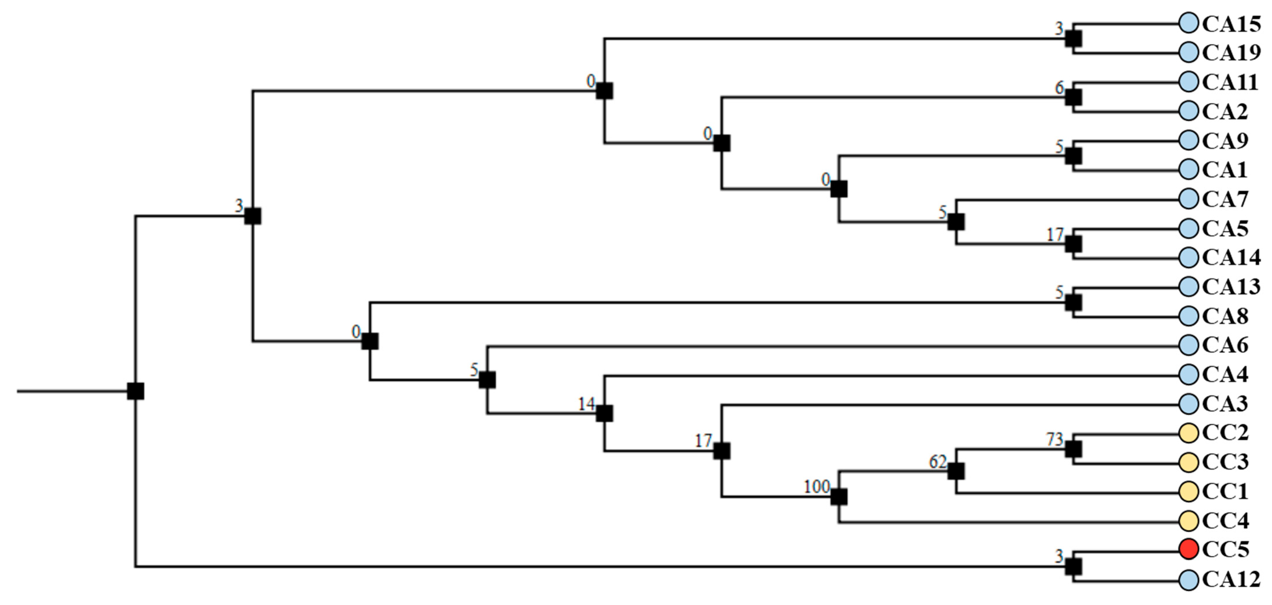 Antioxidants 12 01135 g008 Antioxidants 12 01135 g008