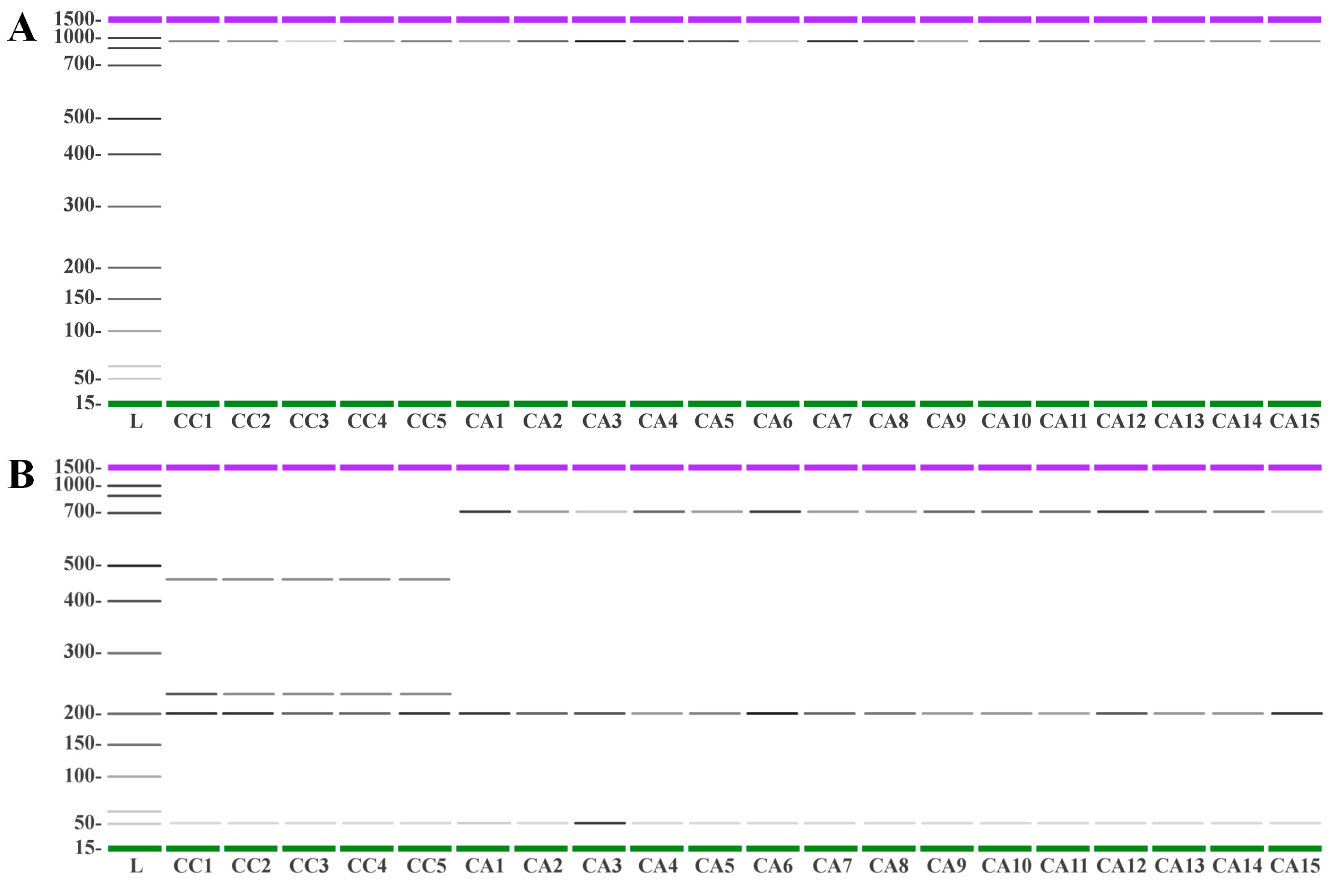 Antioxidants 12 01135 g009 Antioxidants 12 01135 g009
