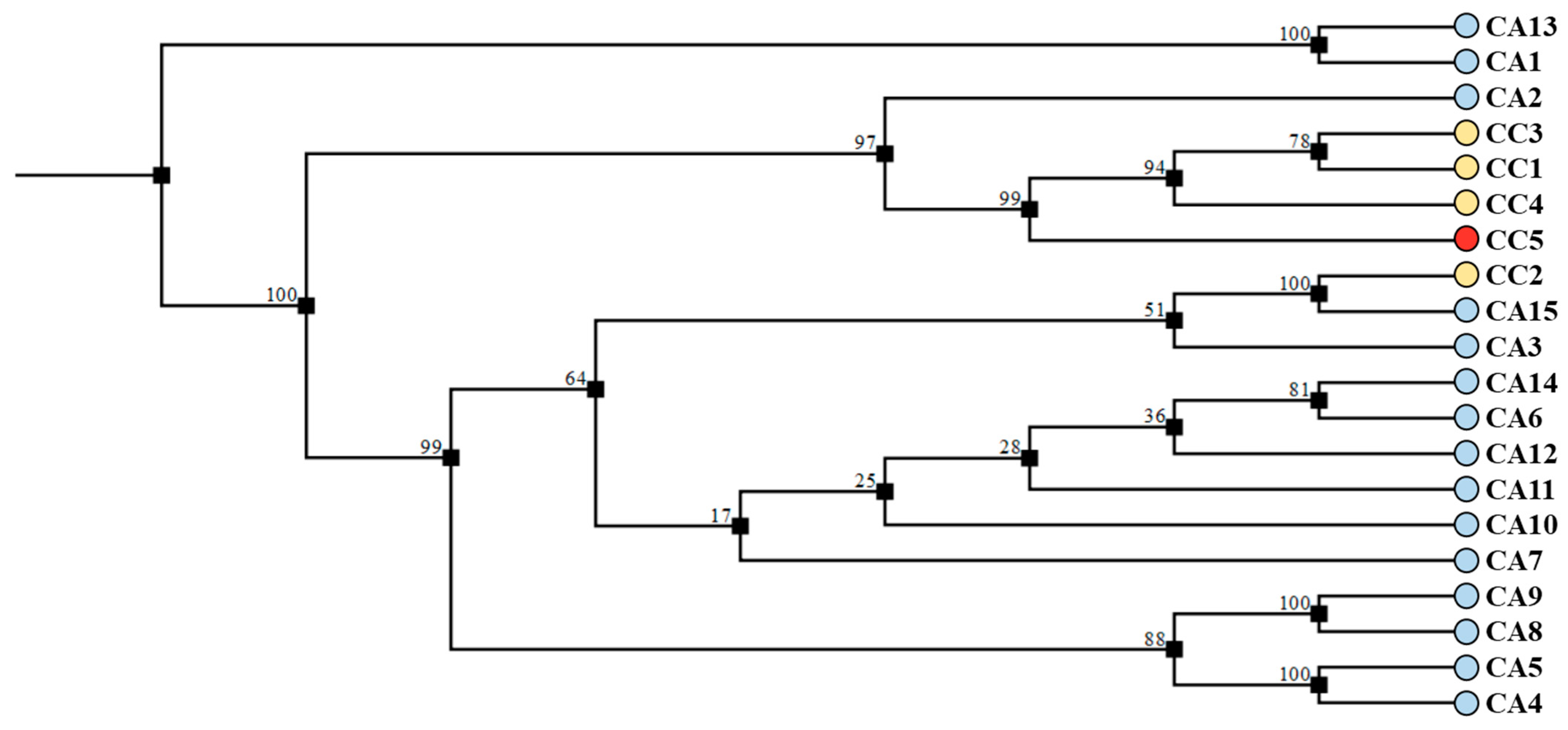 Antioxidants 12 01135 g010 Antioxidants 12 01135 g010