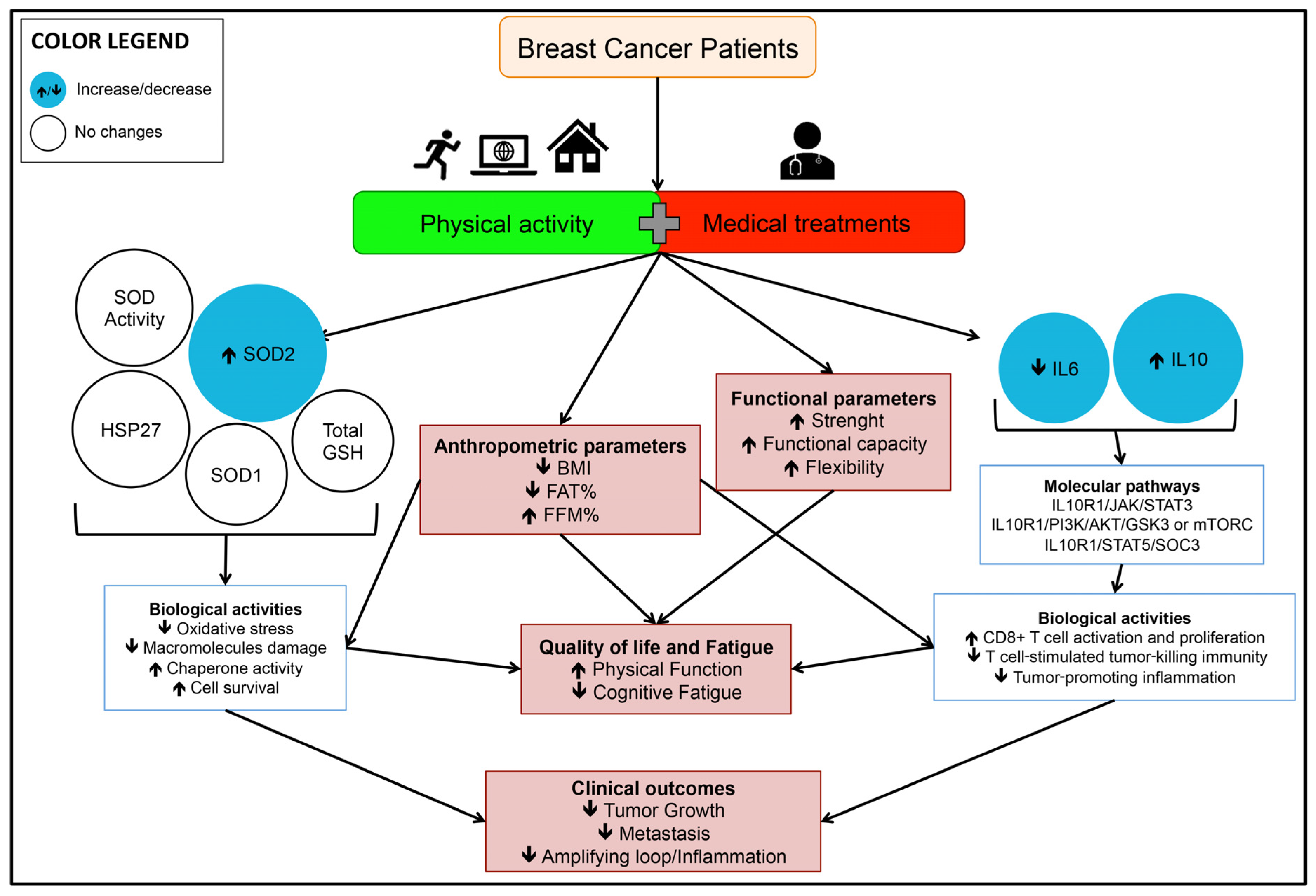 Antioxidants 12 01138 g004