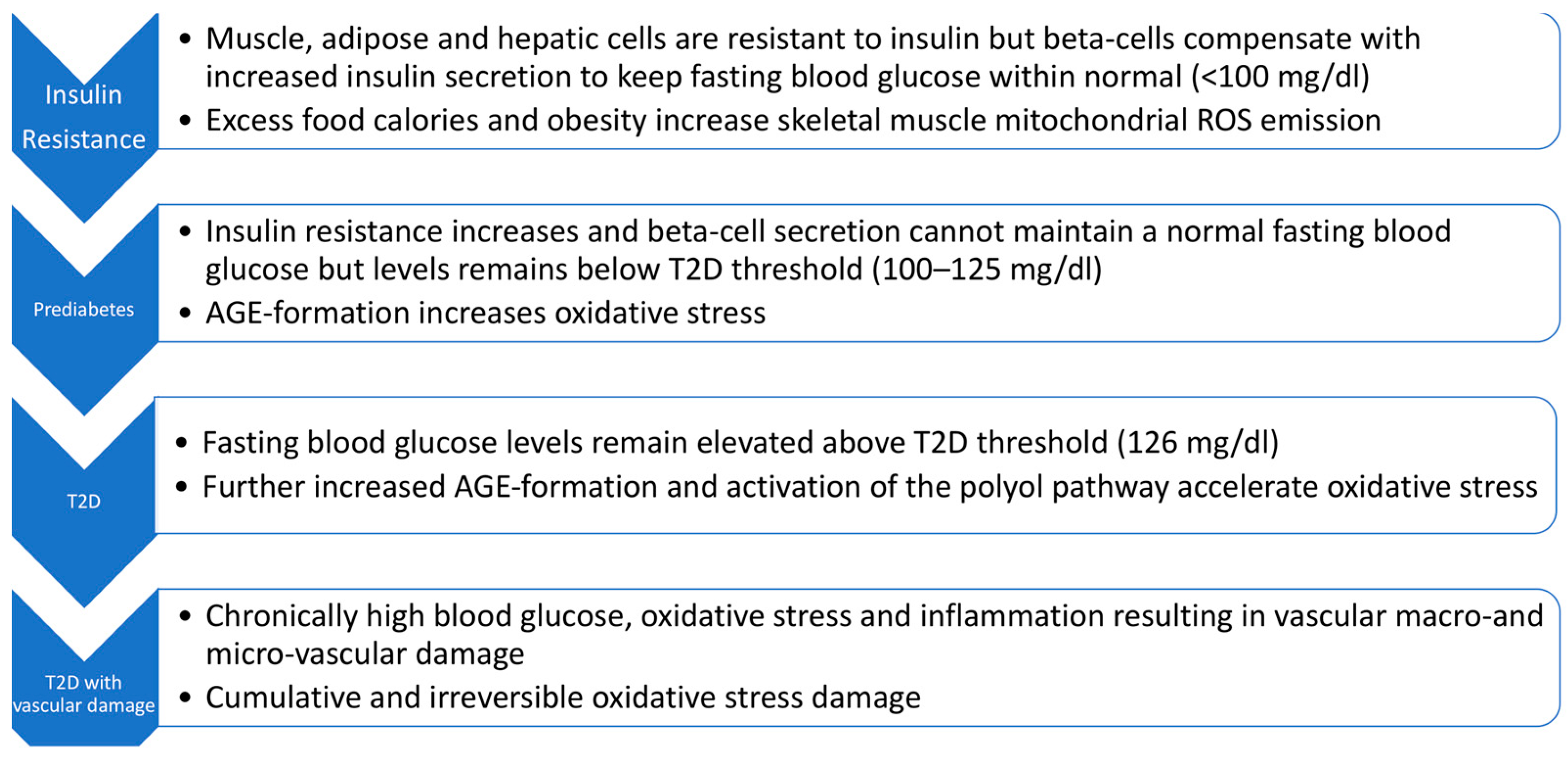 The Role of Natural Antioxidant Products That Optimize Redox 