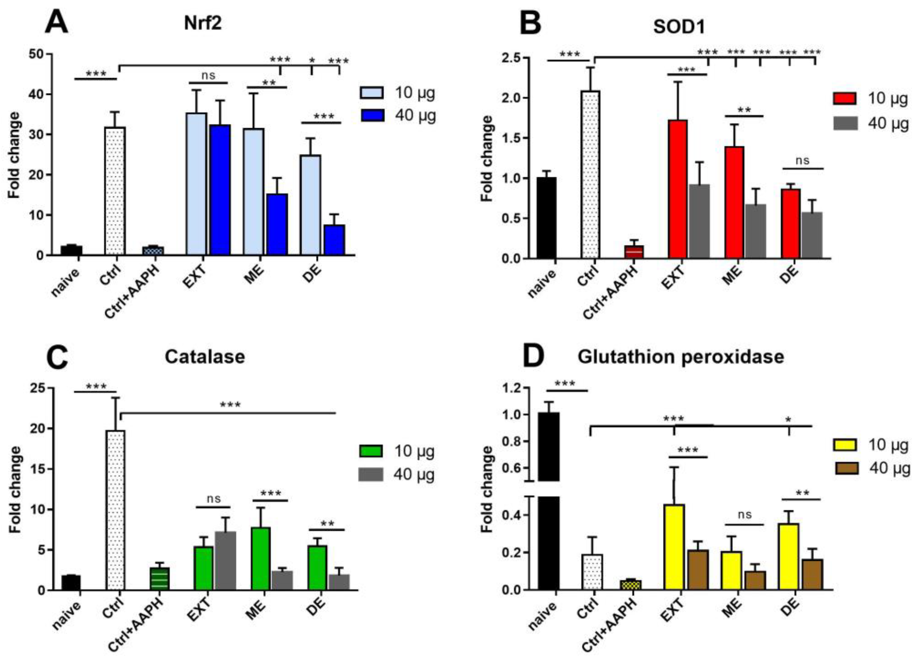 Antioxidants 12 01144 g011