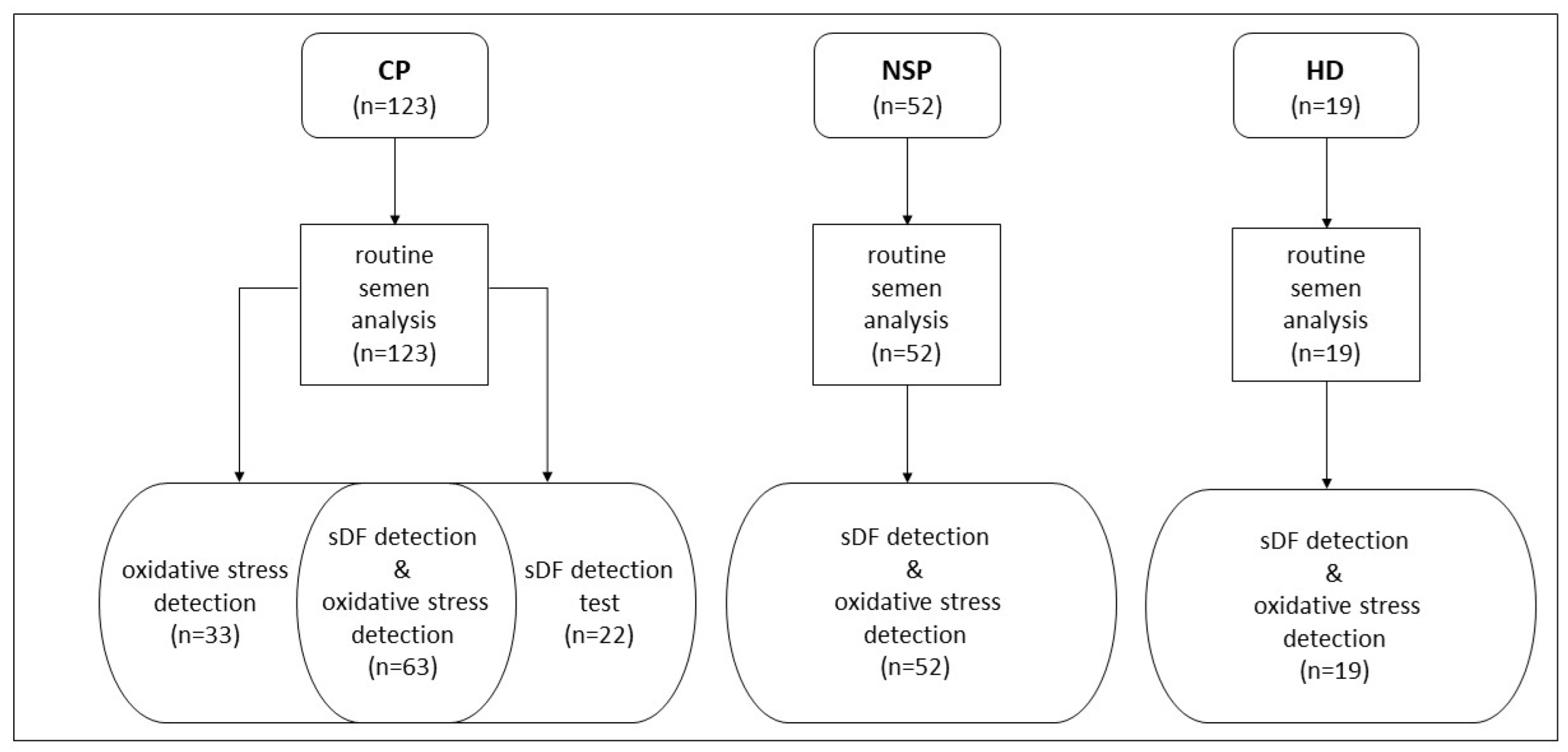 Antioxidants 12 01145 g001 Antioxidants 12 01145 g001