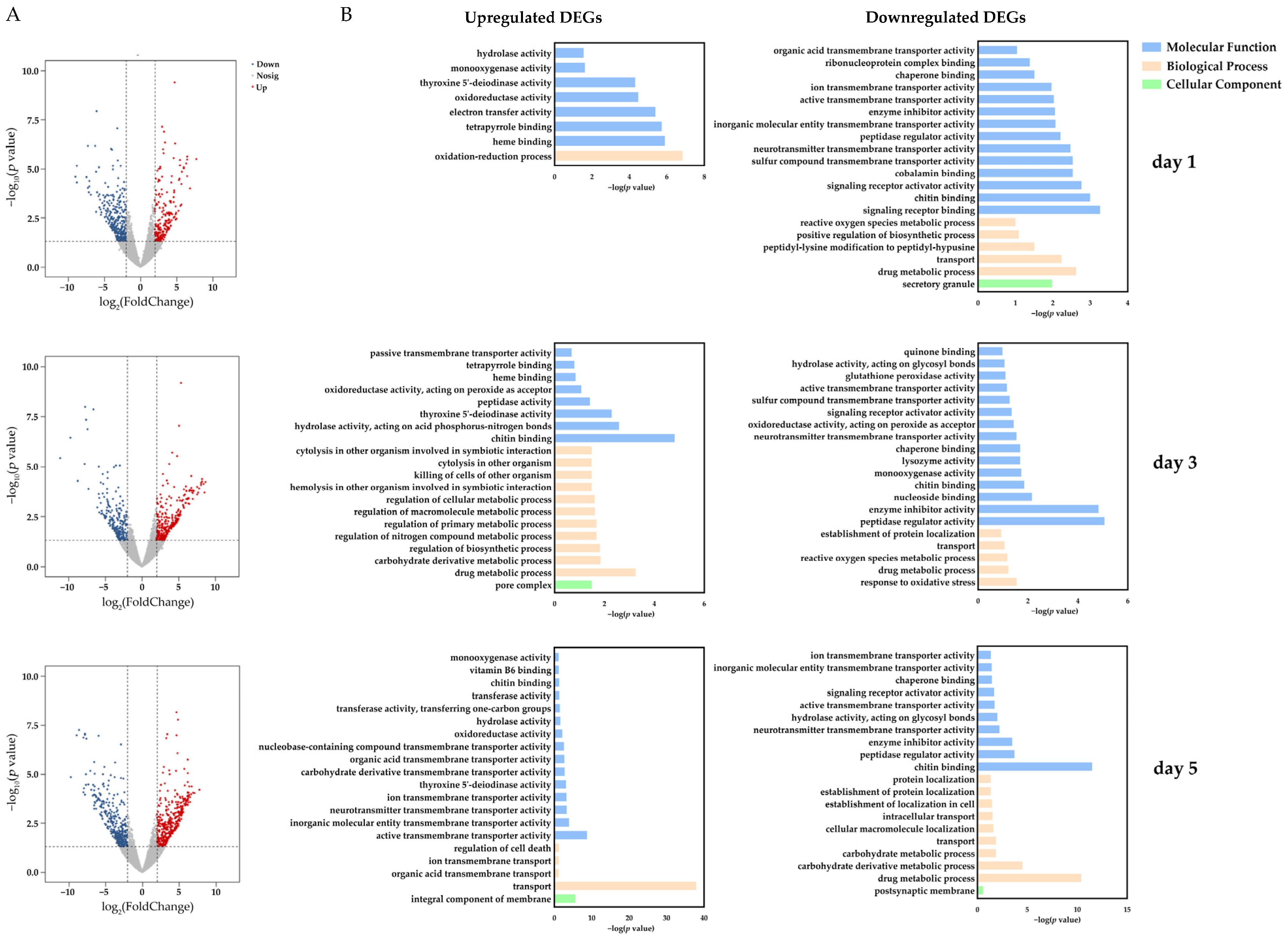 Antioxidants | Free Full-Text | Transcriptome Analysis Reveals the ...