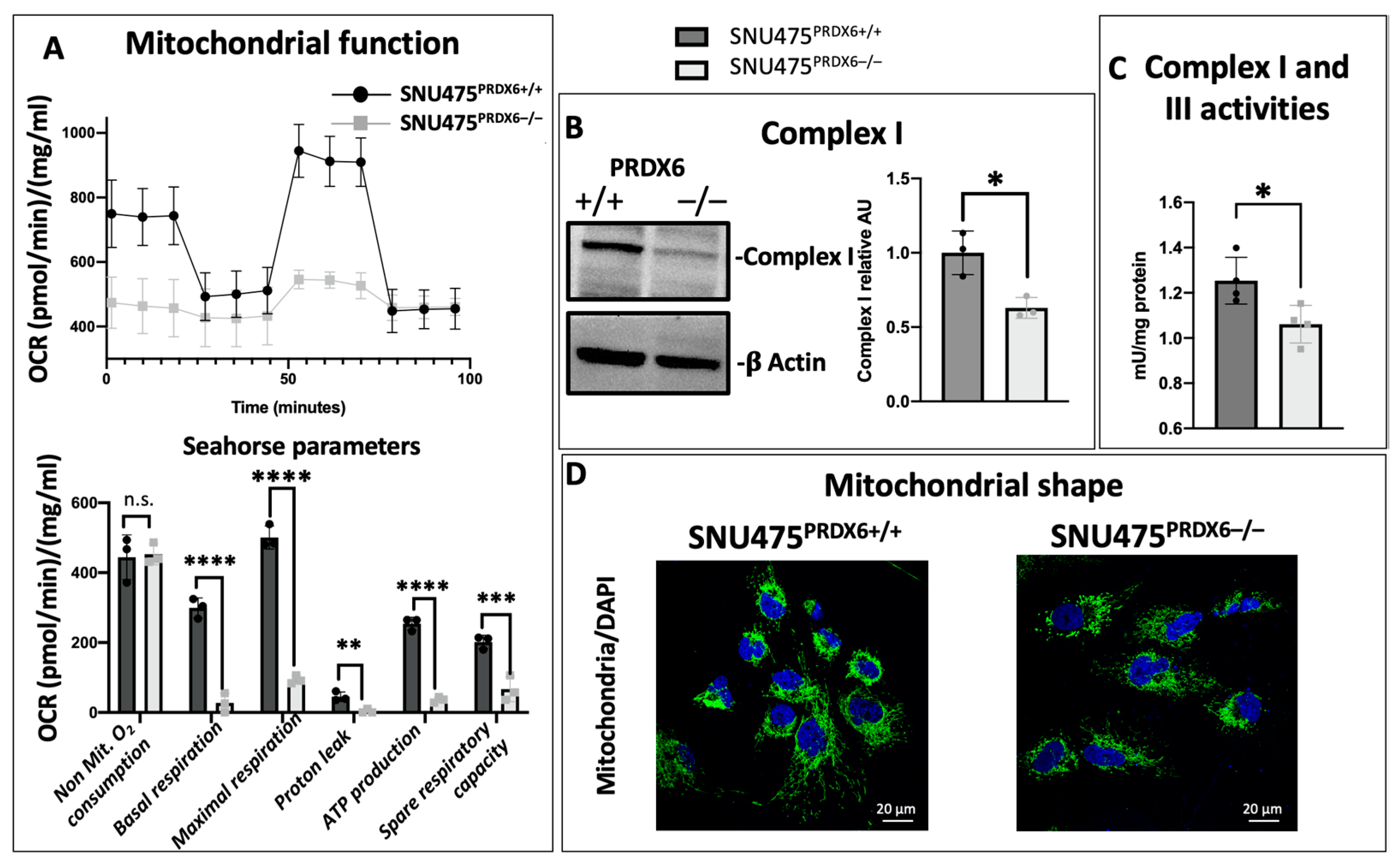 Antioxidants 12 01153 g002