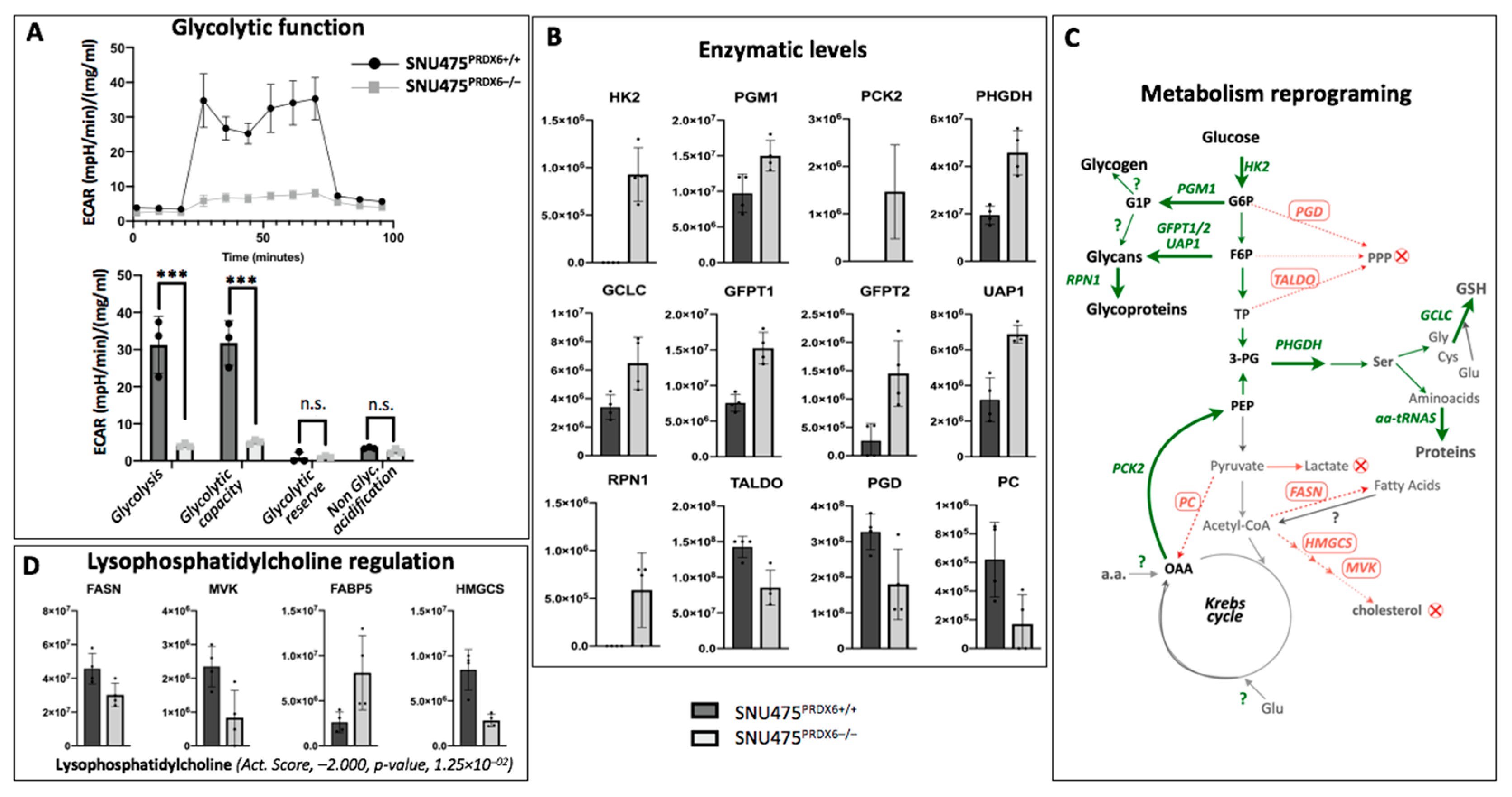 Antioxidants 12 01153 g003