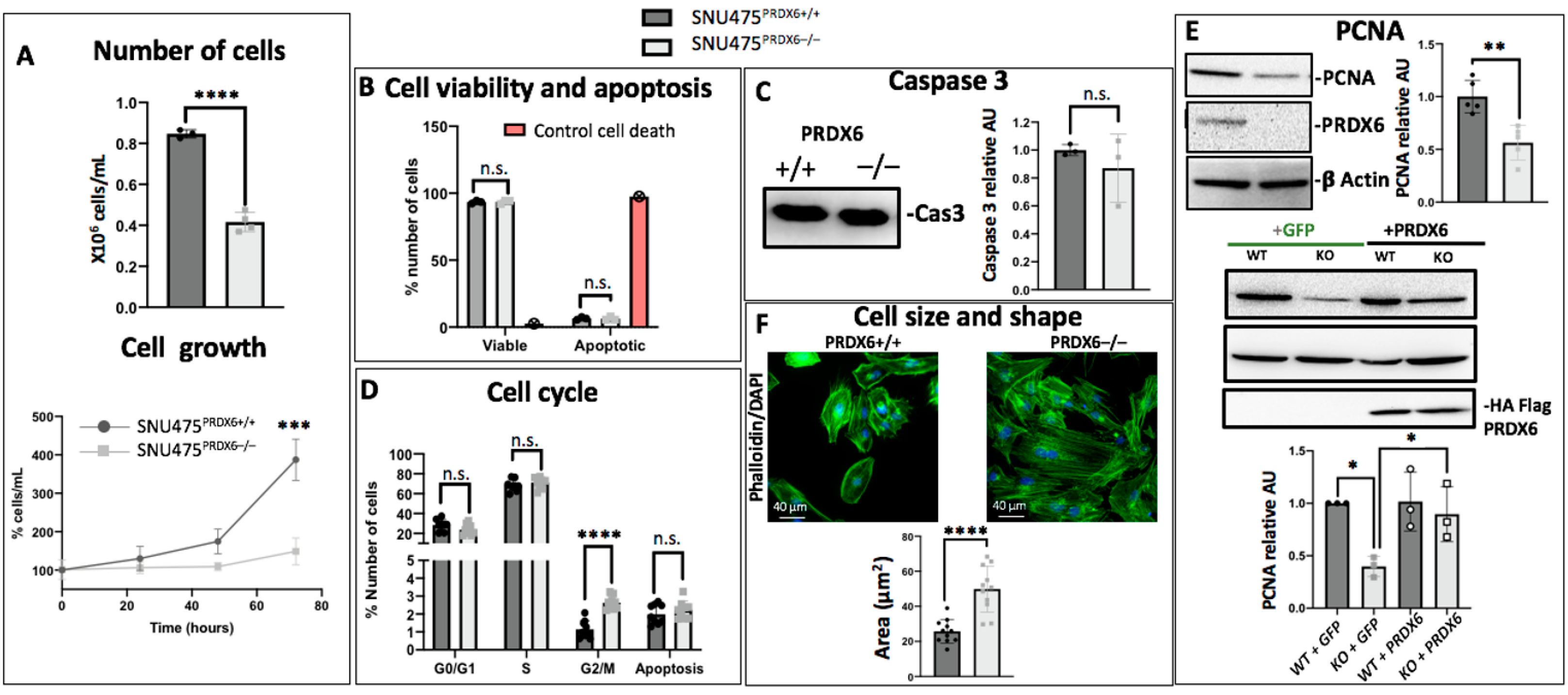 Antioxidants 12 01153 g004