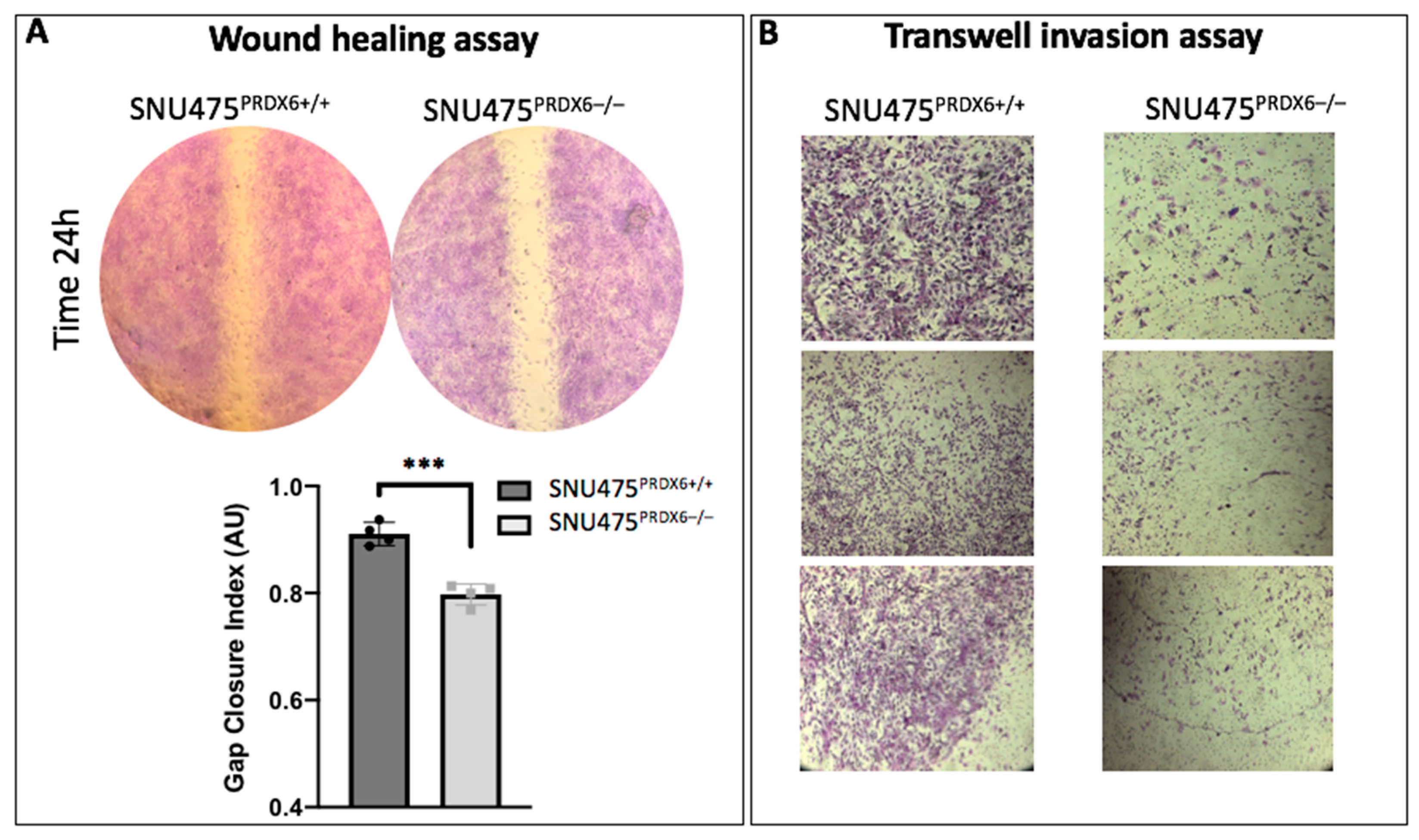 Antioxidants 12 01153 g007