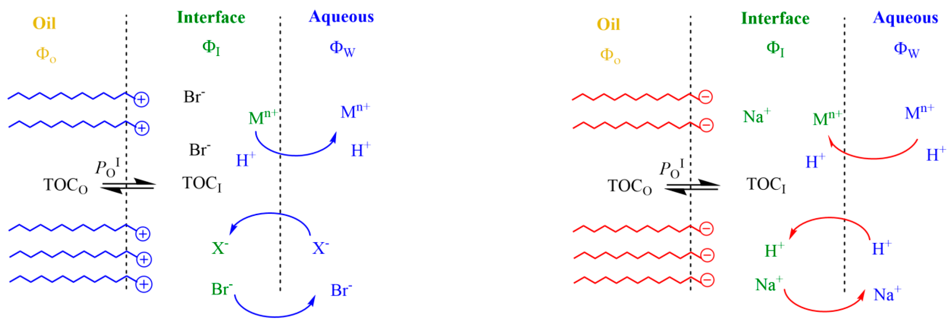 Antioxidants 12 01158 g002