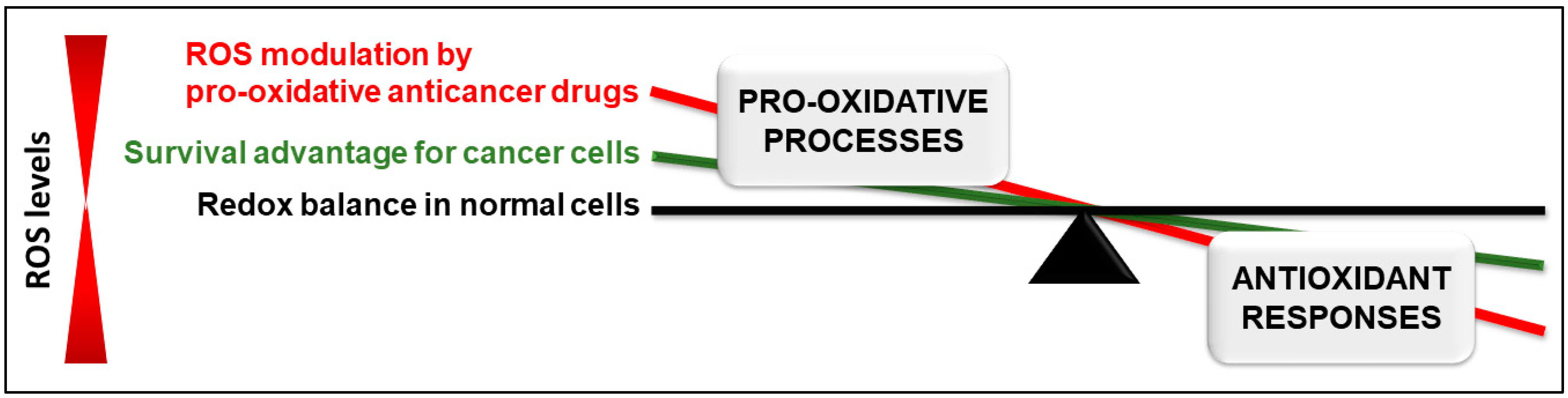 Antioxidants 12 01159 g001