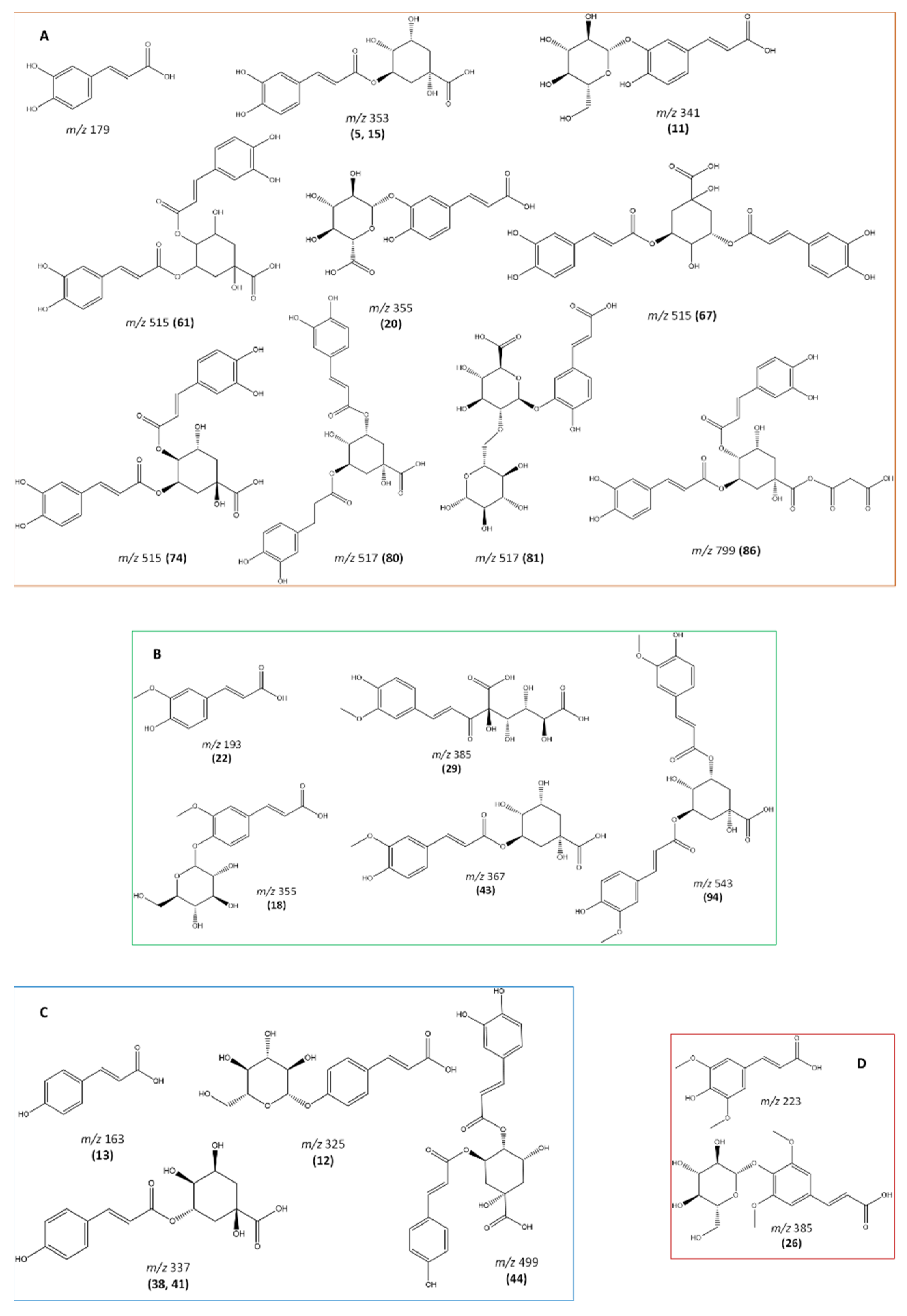 Antioxidants 12 01161 g0a1 Antioxidants 12 01161 g0a1
