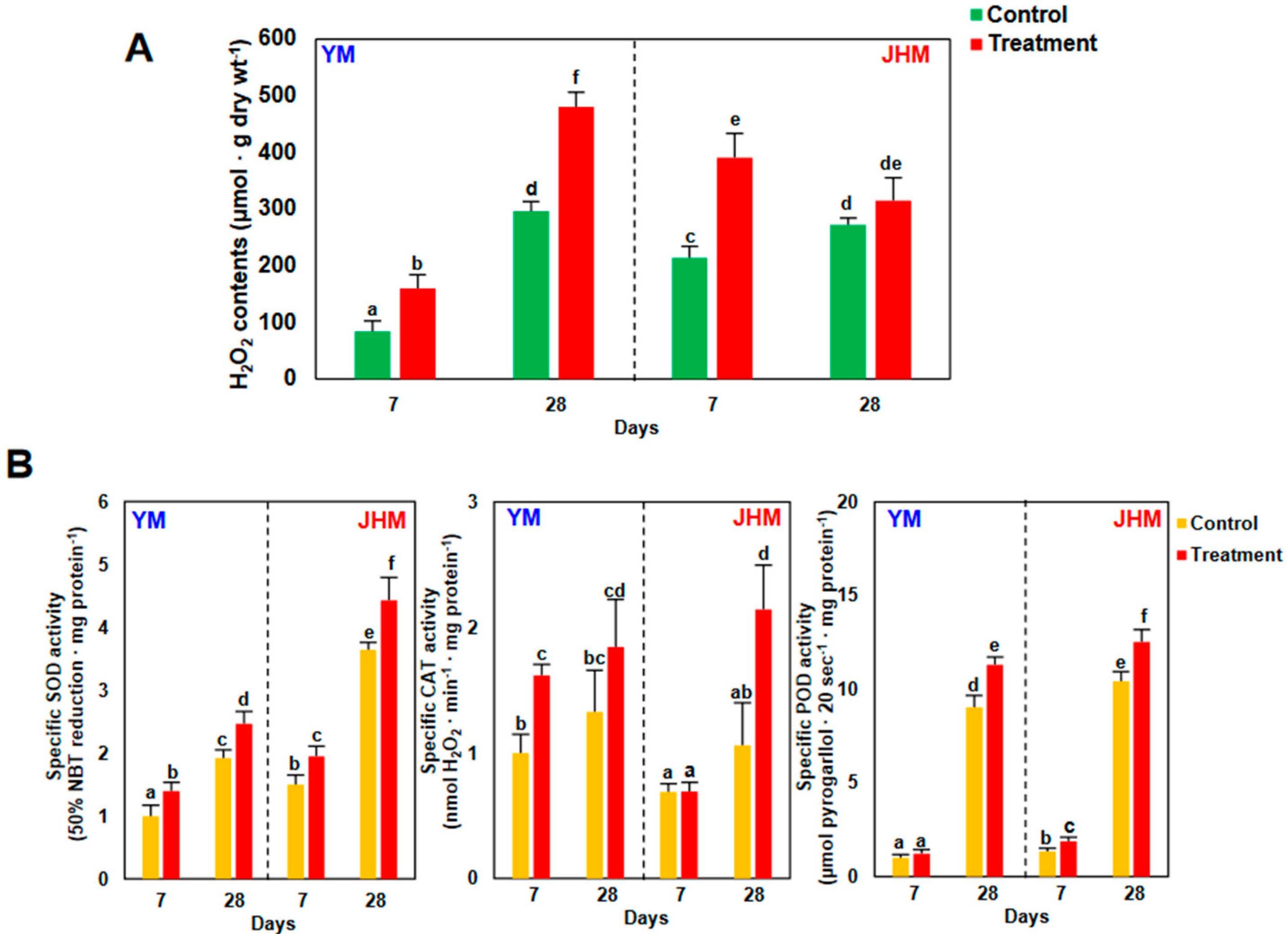 Antioxidants 12 01164 g004 Antioxidants 12 01164 g004