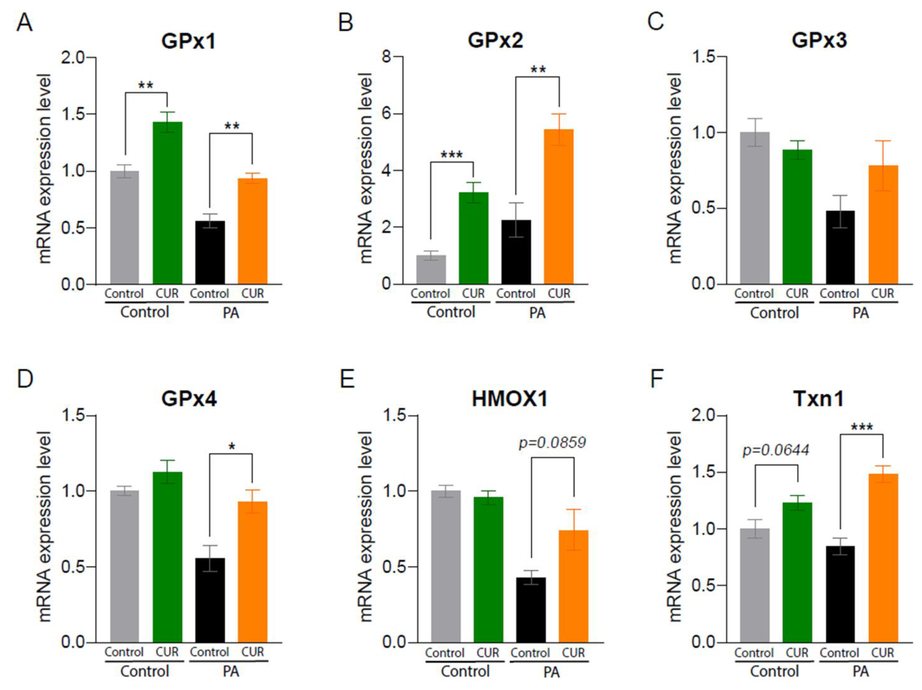 Antioxidants 12 01165 g003 Antioxidants 12 01165 g003