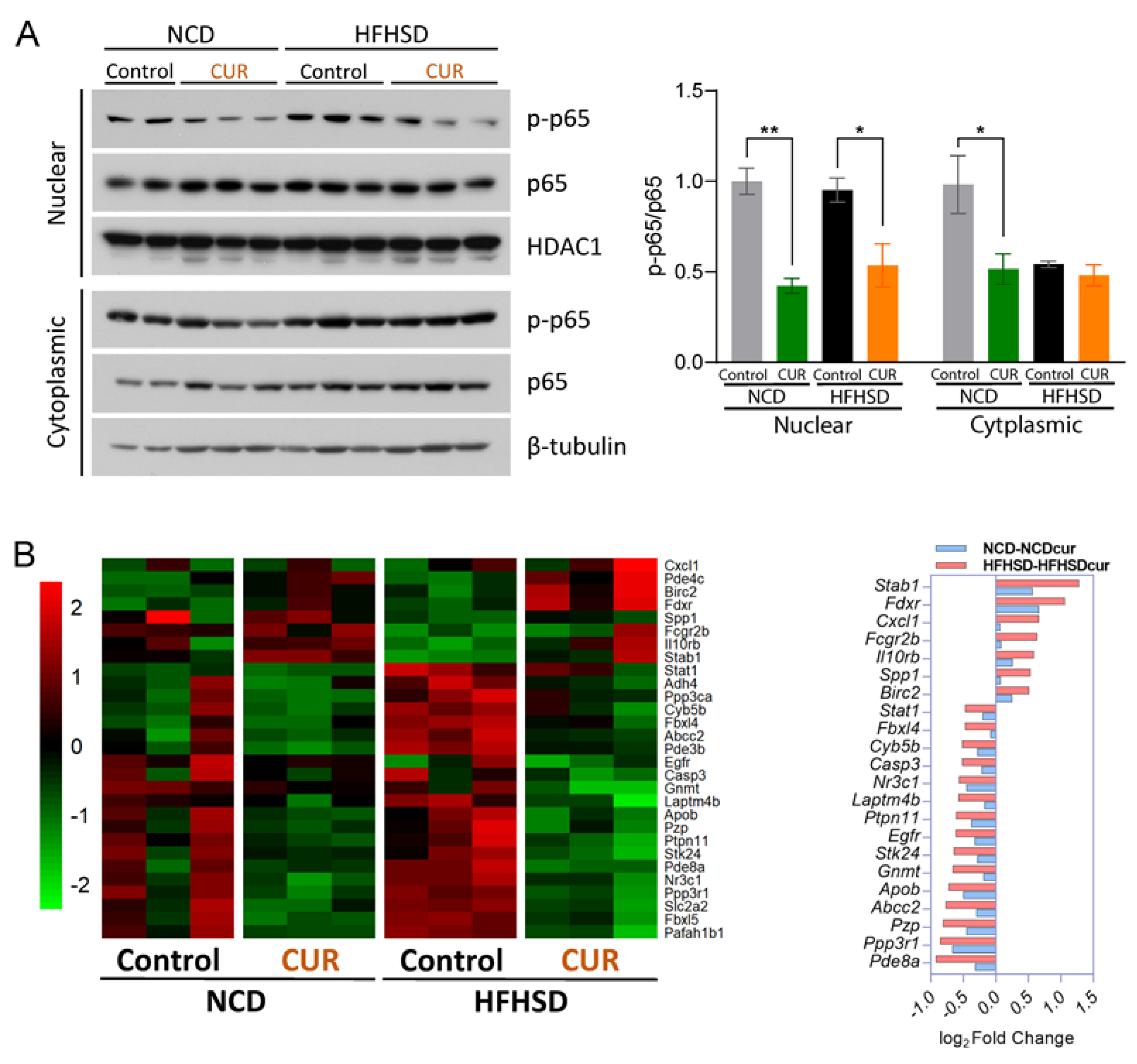 Antioxidants 12 01165 g005 Antioxidants 12 01165 g005