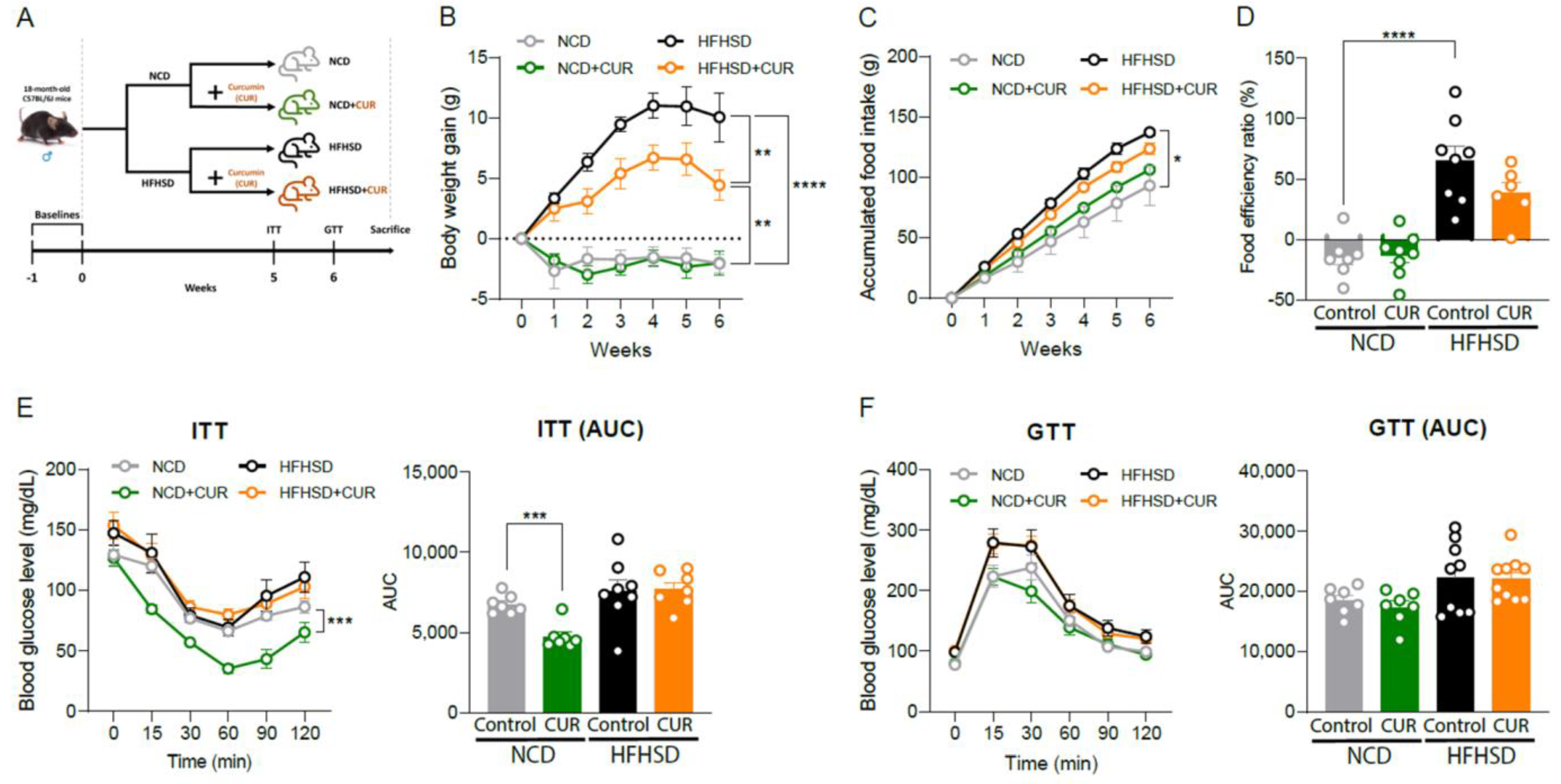 Antioxidants 12 01165 g007 Antioxidants 12 01165 g007