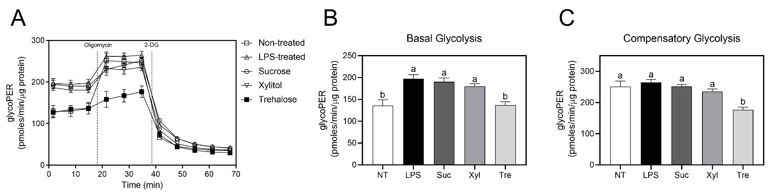 Antioxidants 12 01166 g005
