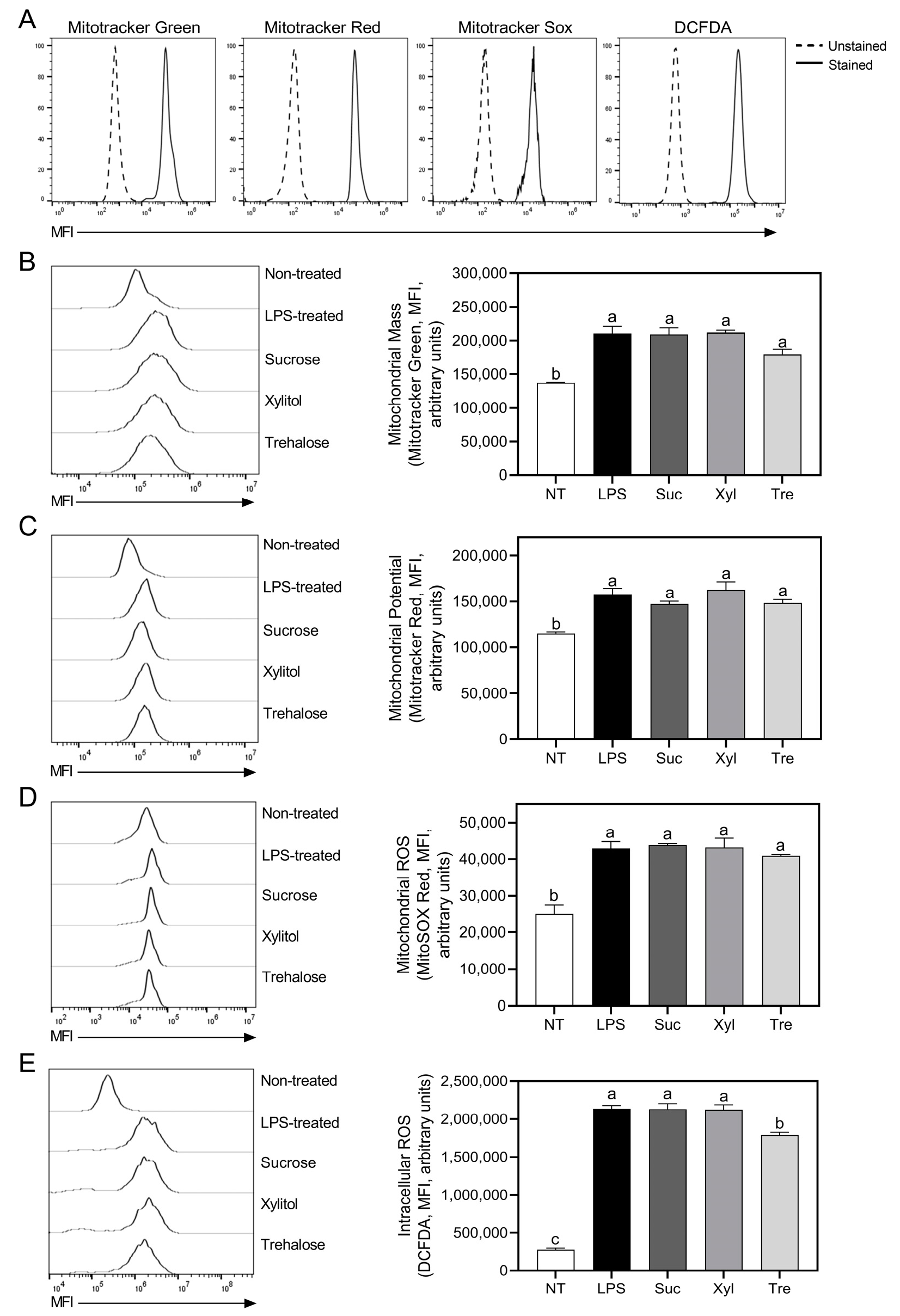 Antioxidants 12 01166 g006