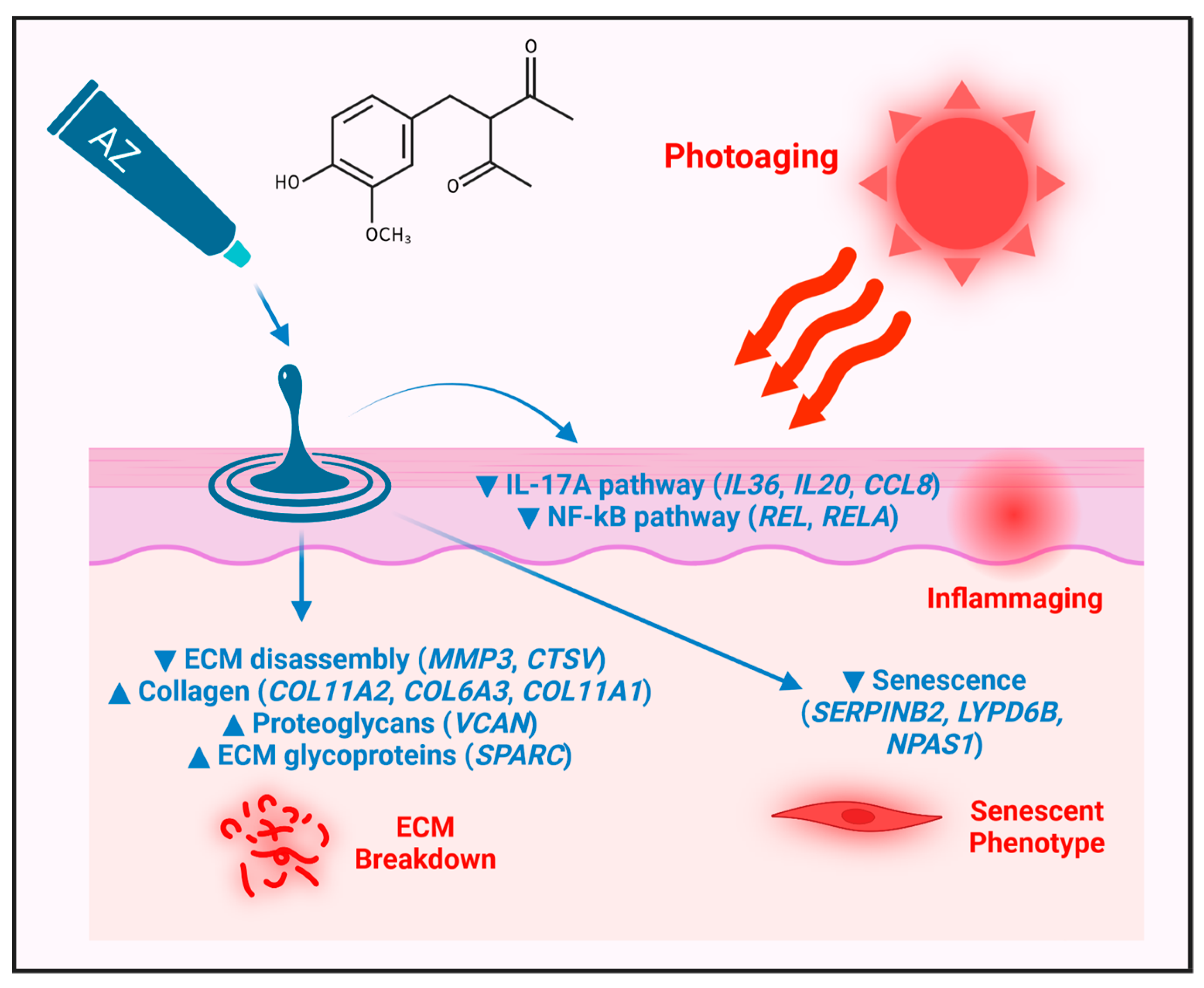 Antioxidants 12 01168 g005