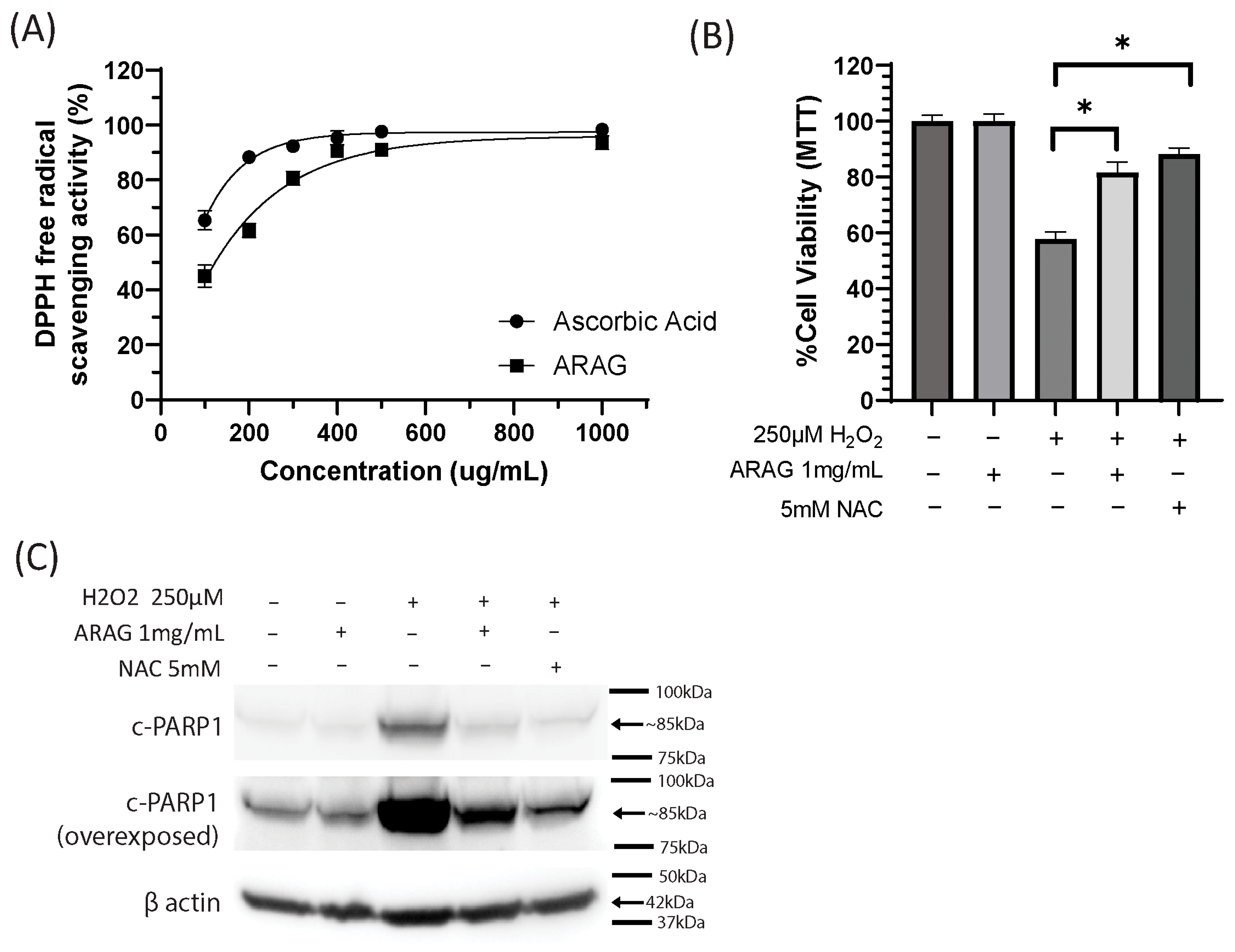 Antioxidants 12 01176 g001 Antioxidants 12 01176 g001