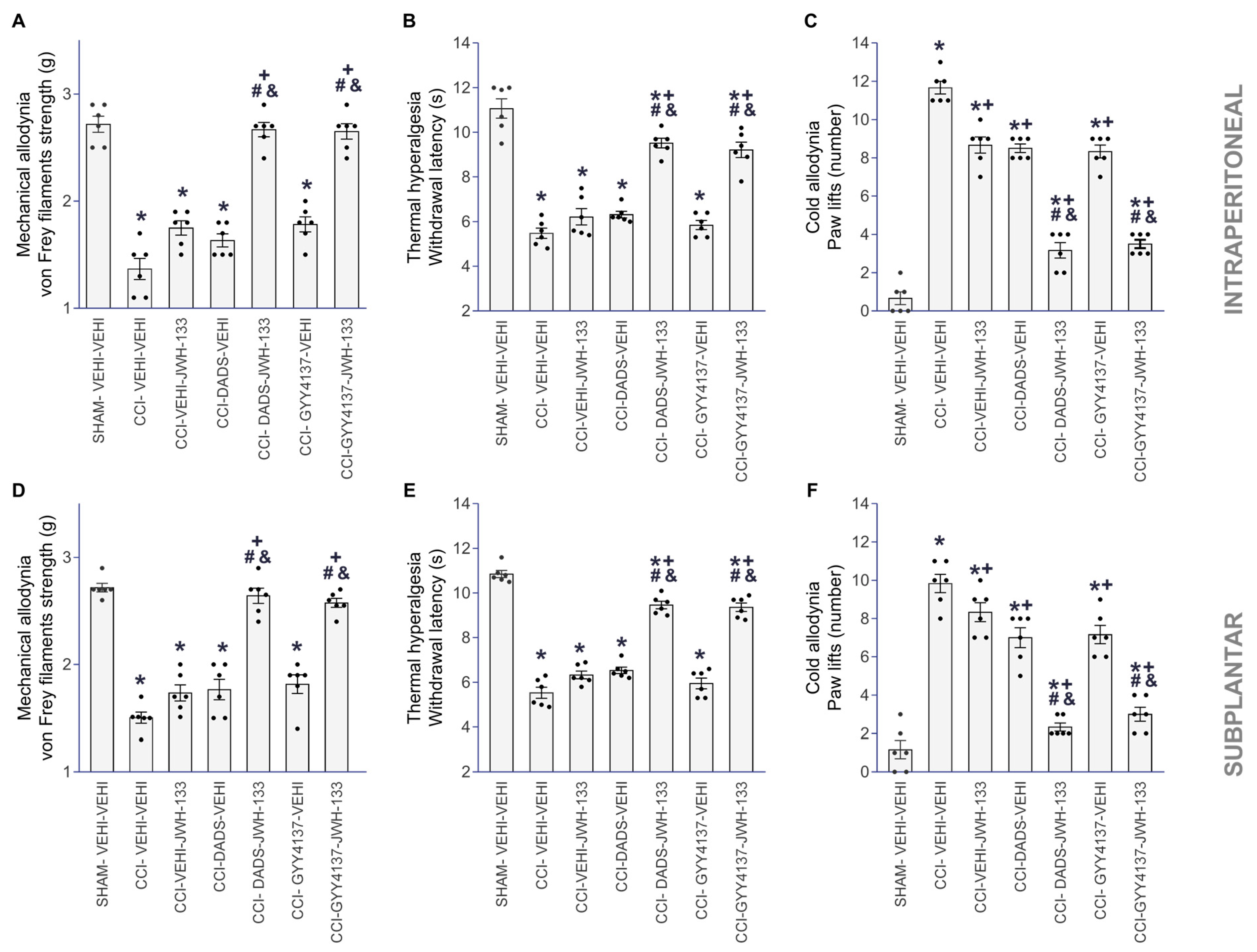 Antioxidants 12 01179 g002 Antioxidants 12 01179 g002