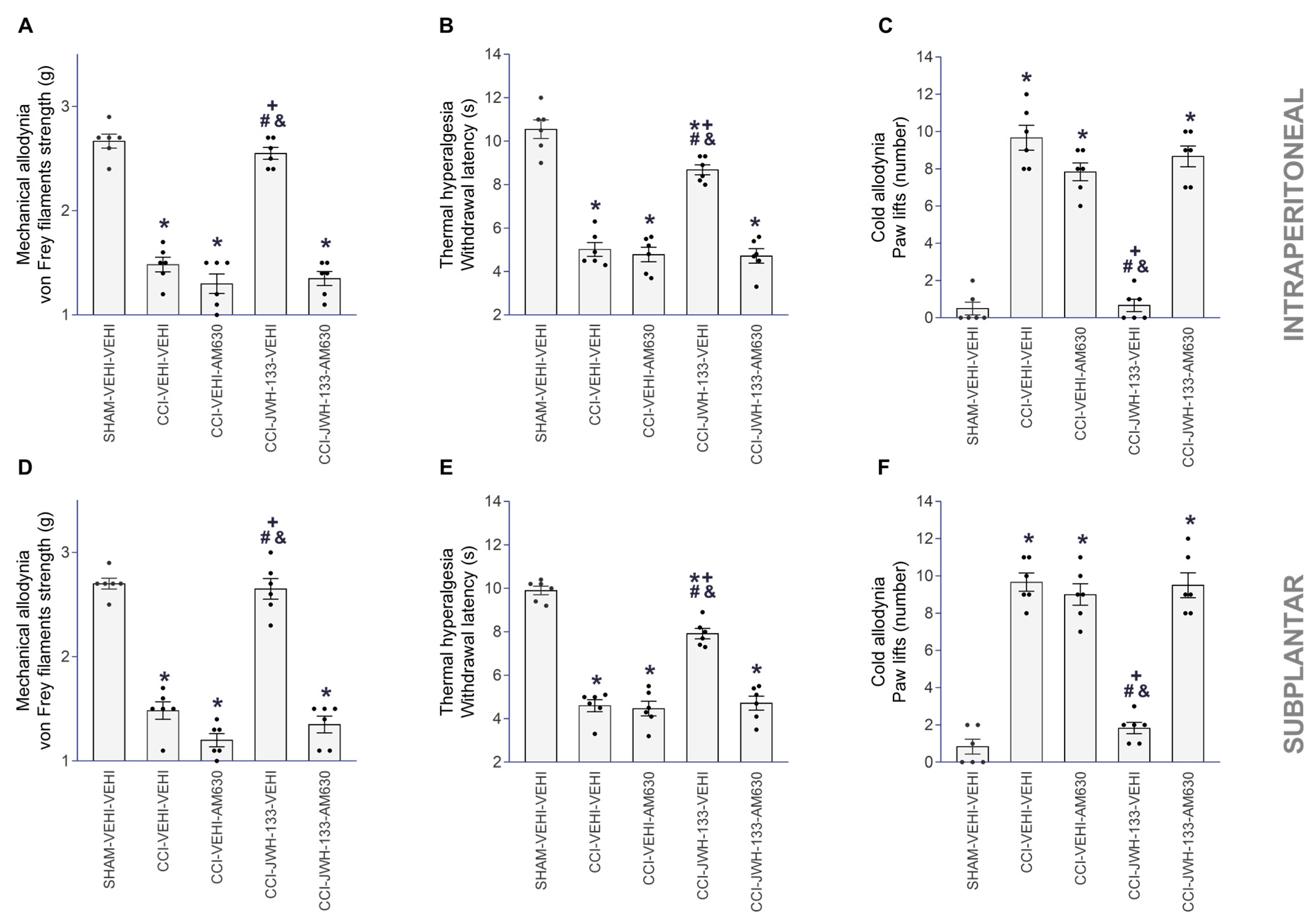 Antioxidants 12 01179 g003 Antioxidants 12 01179 g003