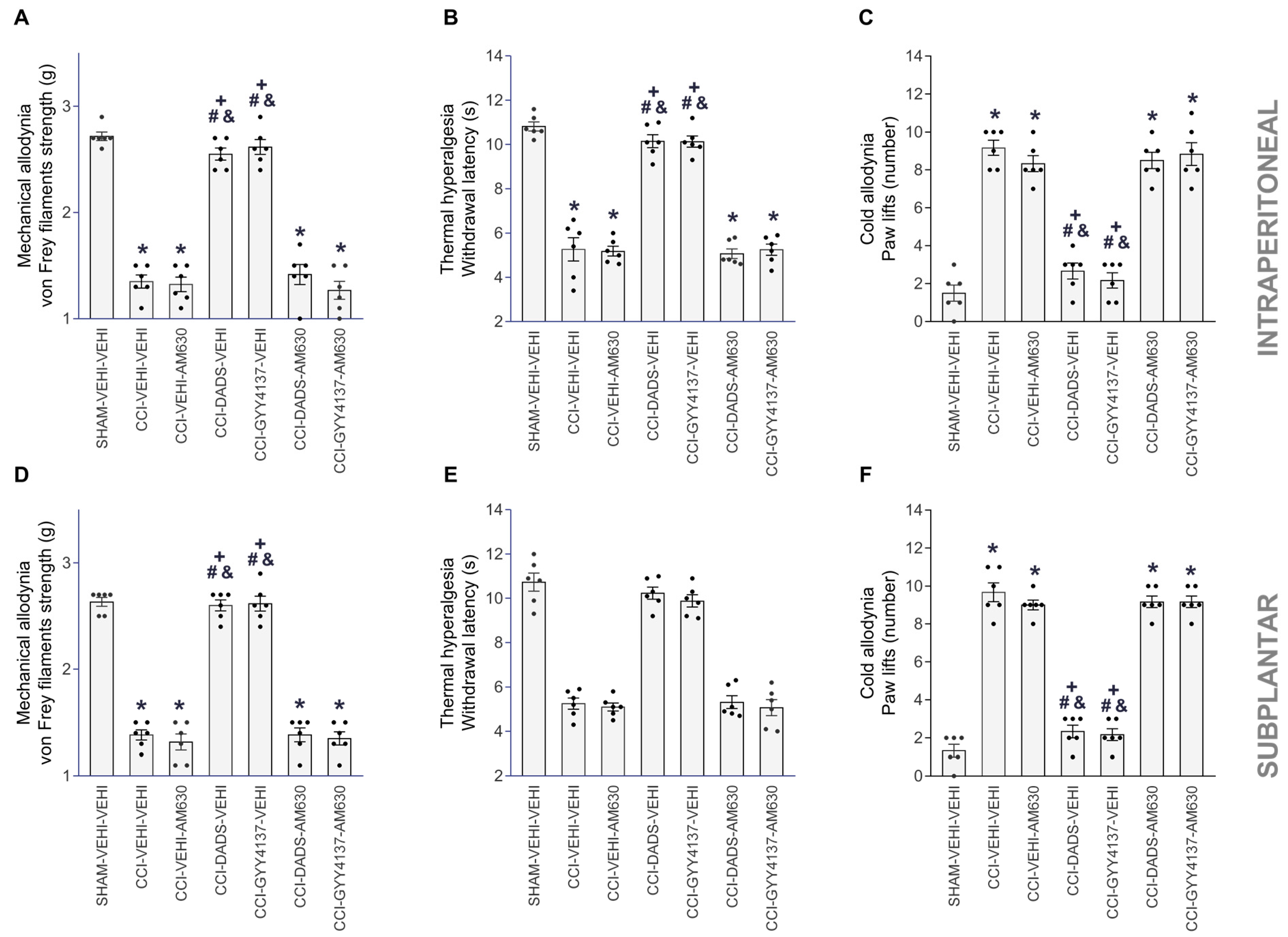 Antioxidants 12 01179 g004 Antioxidants 12 01179 g004