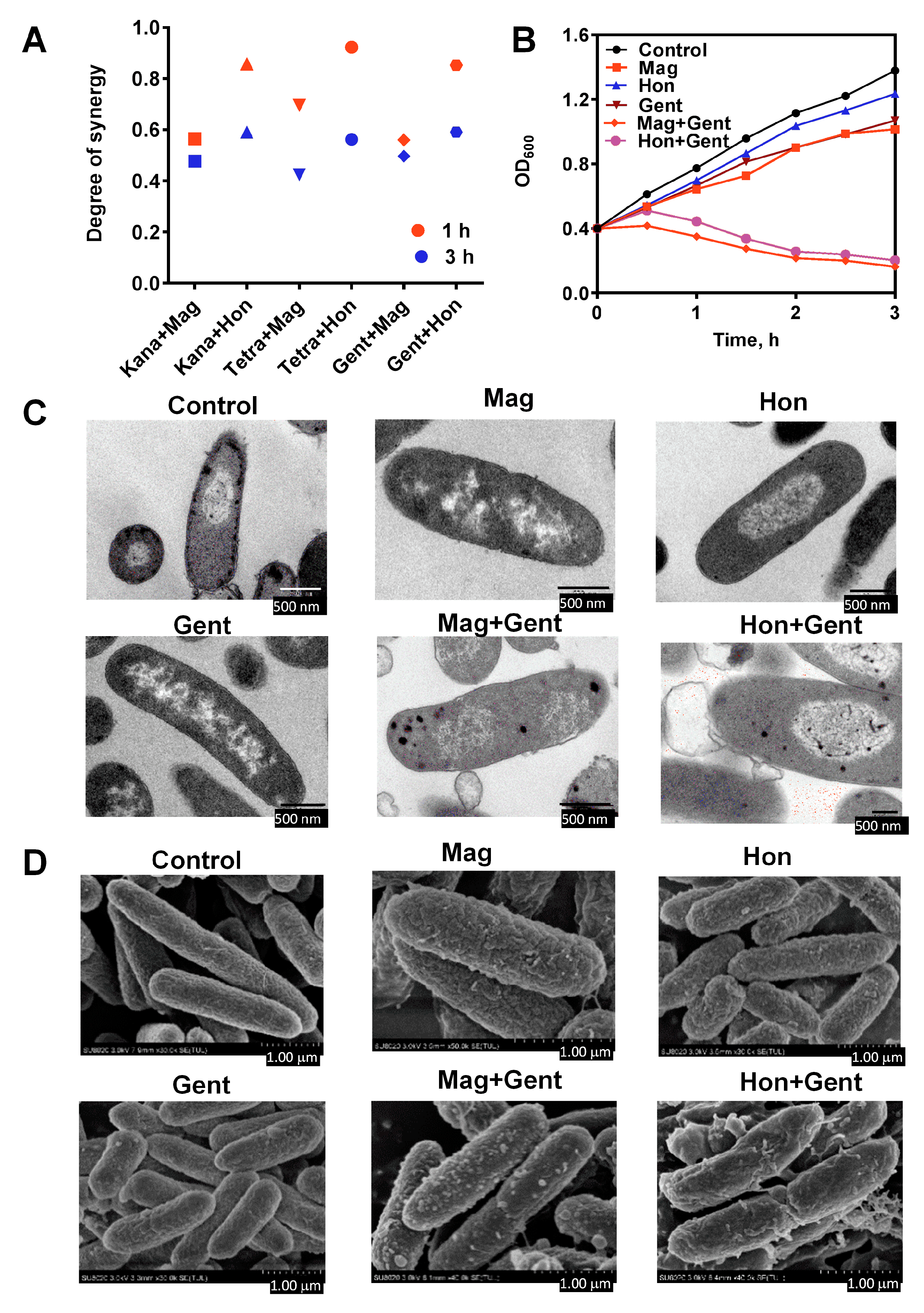 Antioxidants 12 01180 g008 Antioxidants 12 01180 g008