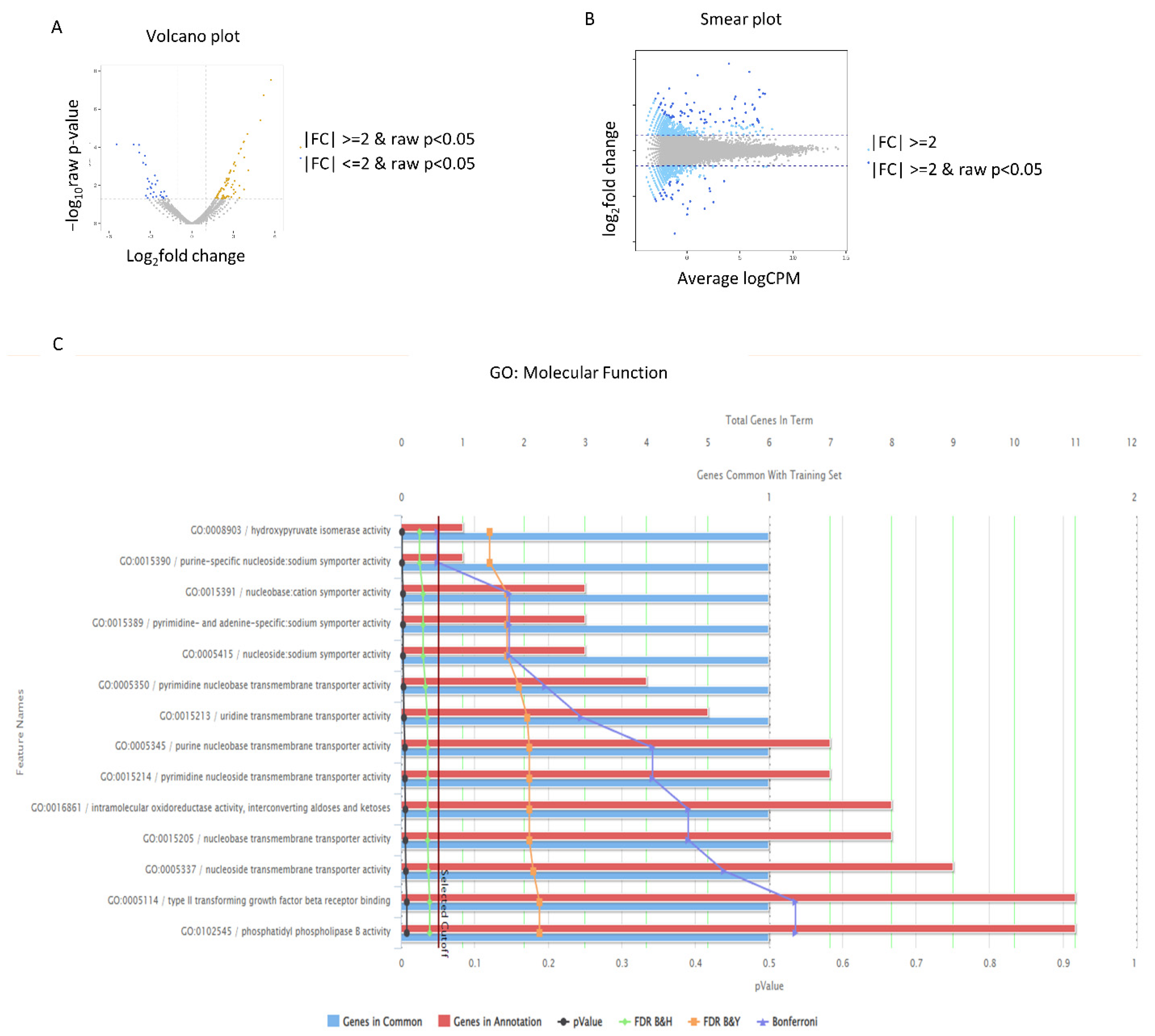 Antioxidants 12 01186 g002 Antioxidants 12 01186 g002