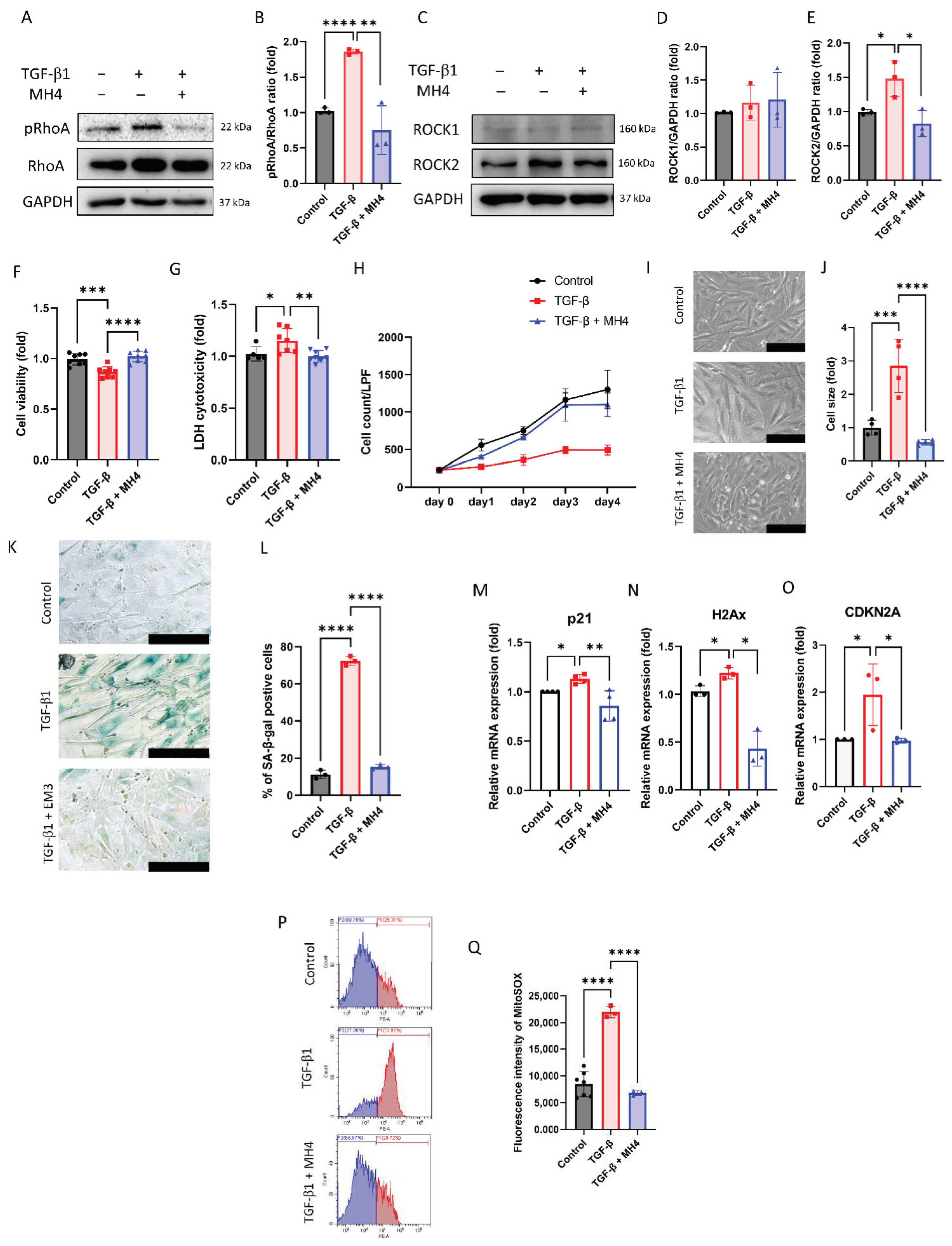 Antioxidants 12 01186 g003 Antioxidants 12 01186 g003