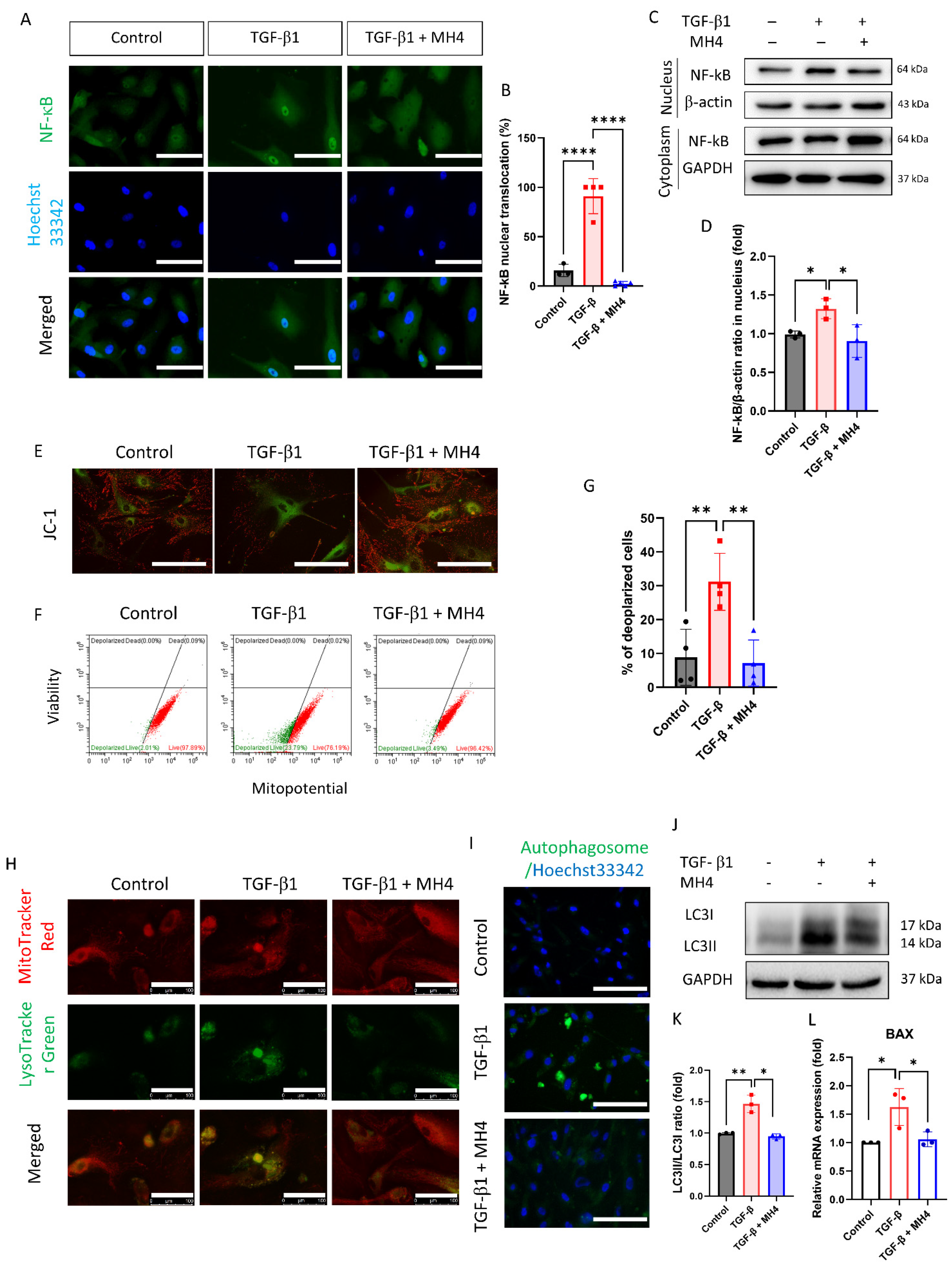 Antioxidants 12 01186 g004 Antioxidants 12 01186 g004