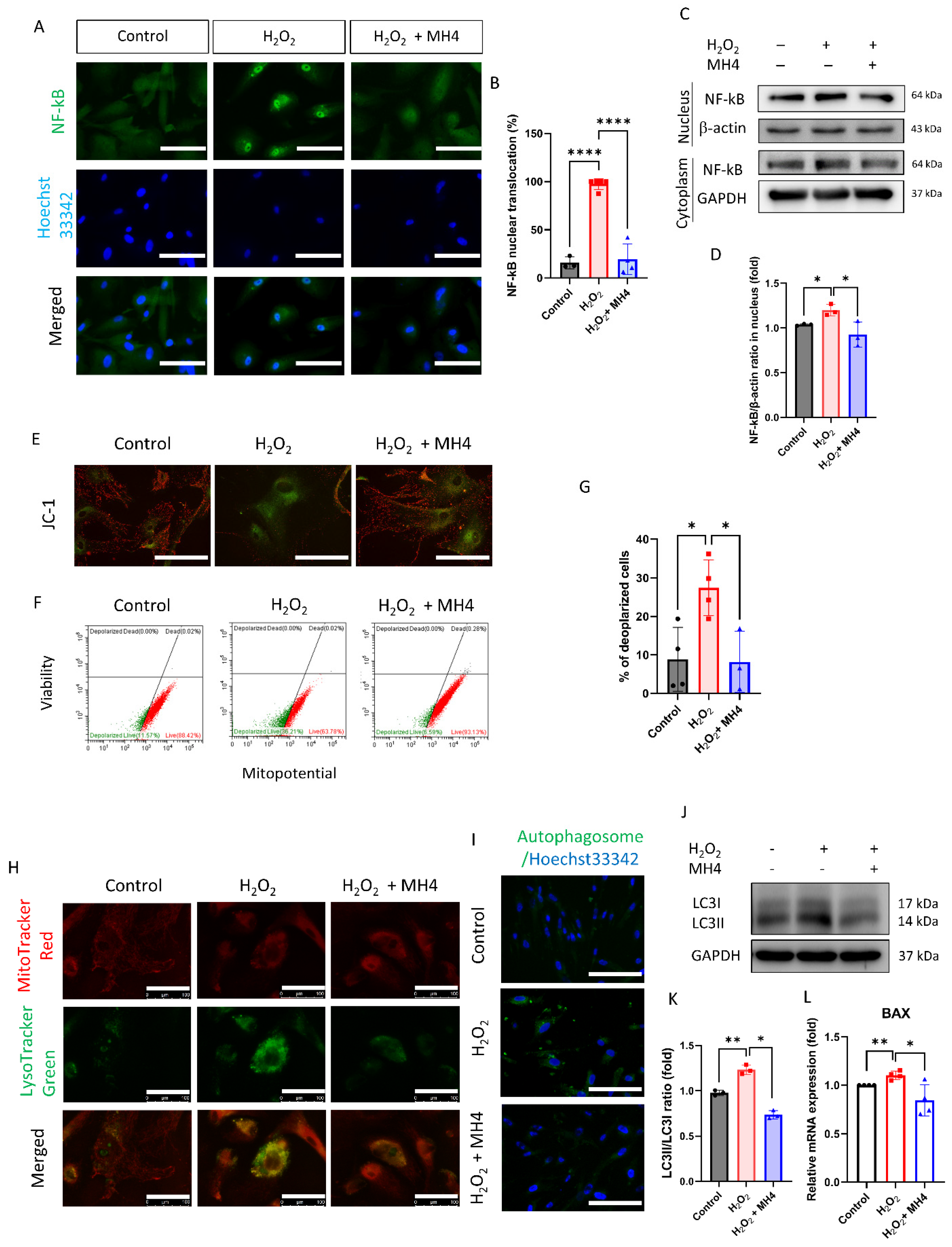 Antioxidants 12 01186 g006 Antioxidants 12 01186 g006