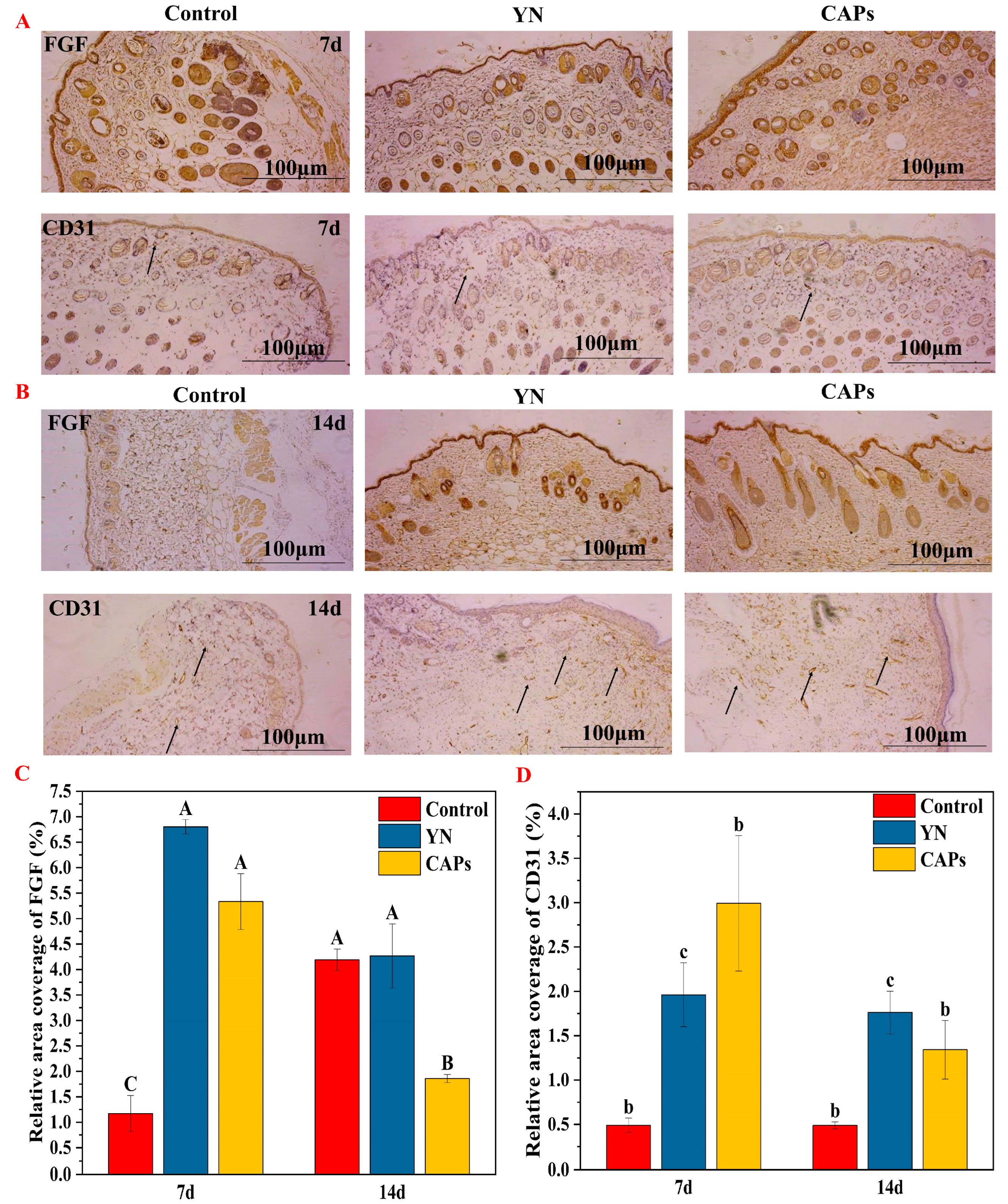 Antioxidants 12 01190 g004