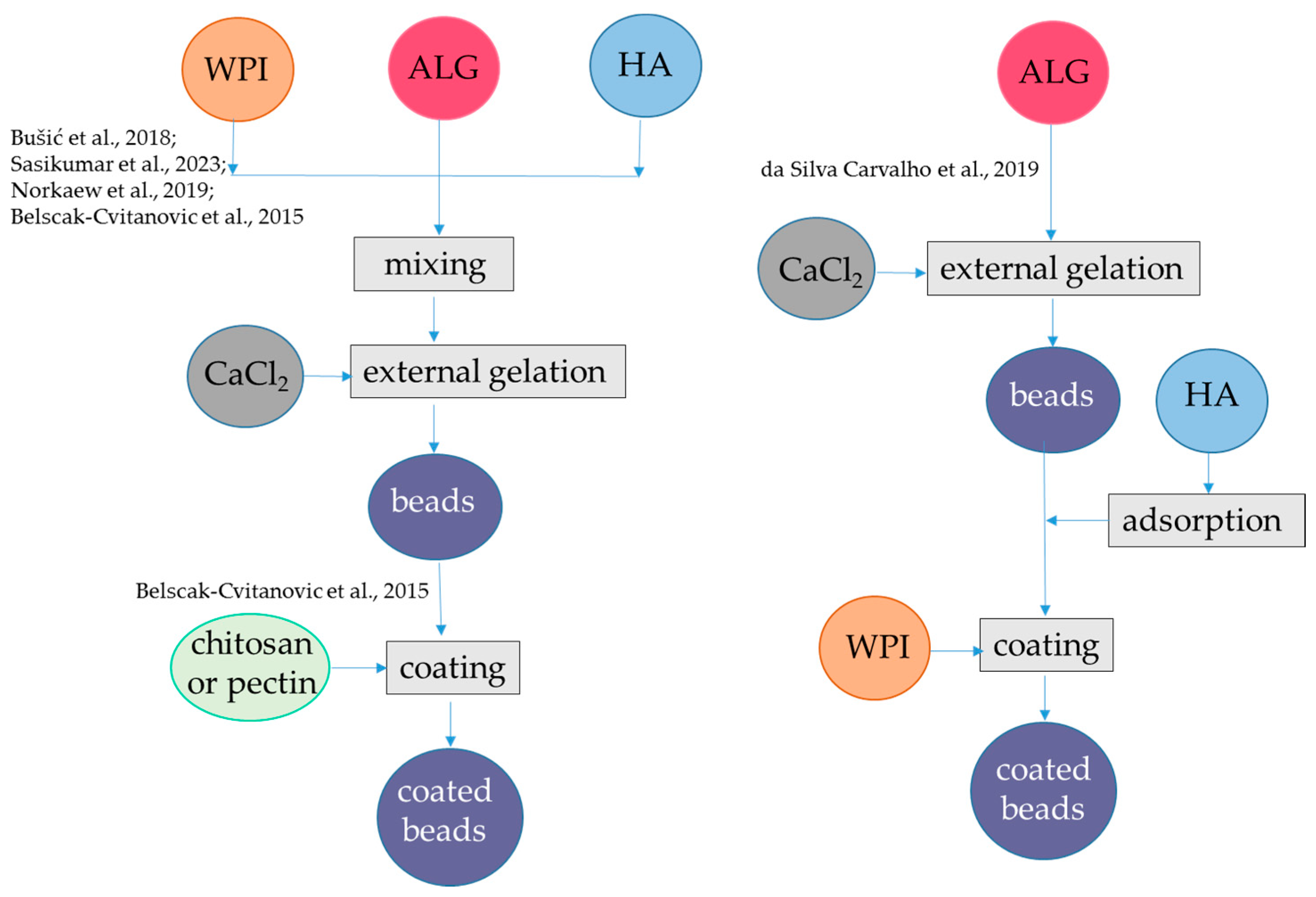 Antioxidants 12 01192 g001 Antioxidants 12 01192 g001