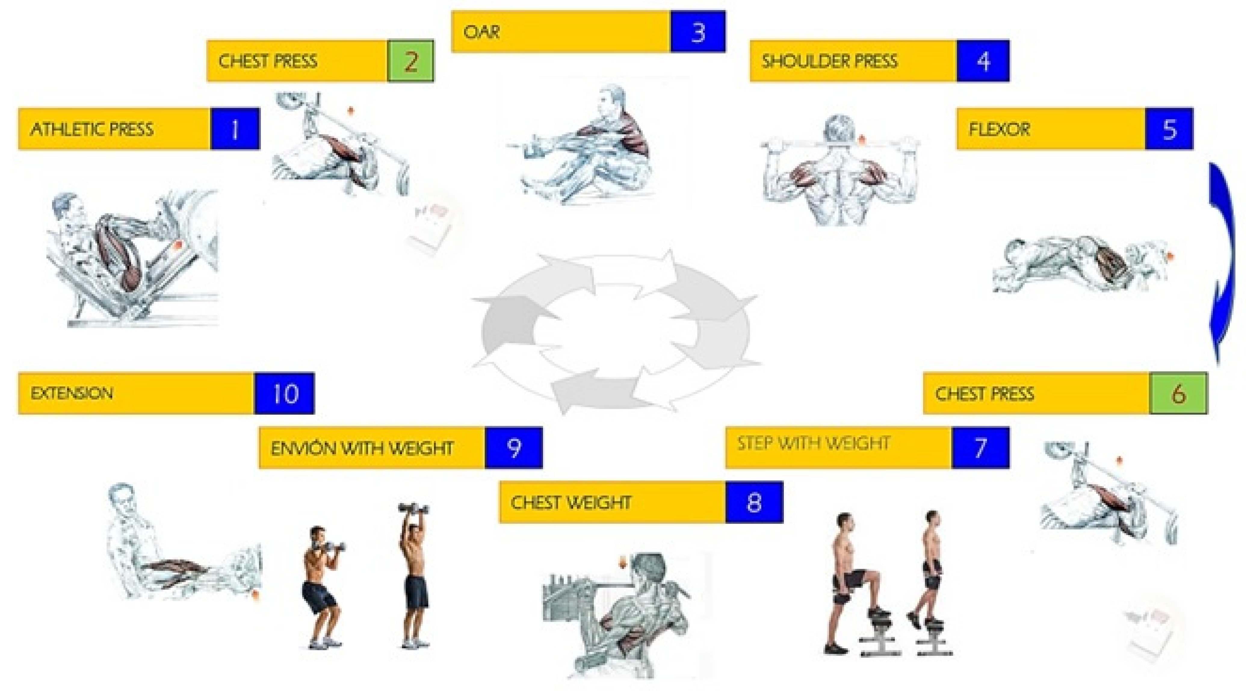 Antioxidants 12 01193 g001 Antioxidants 12 01193 g001