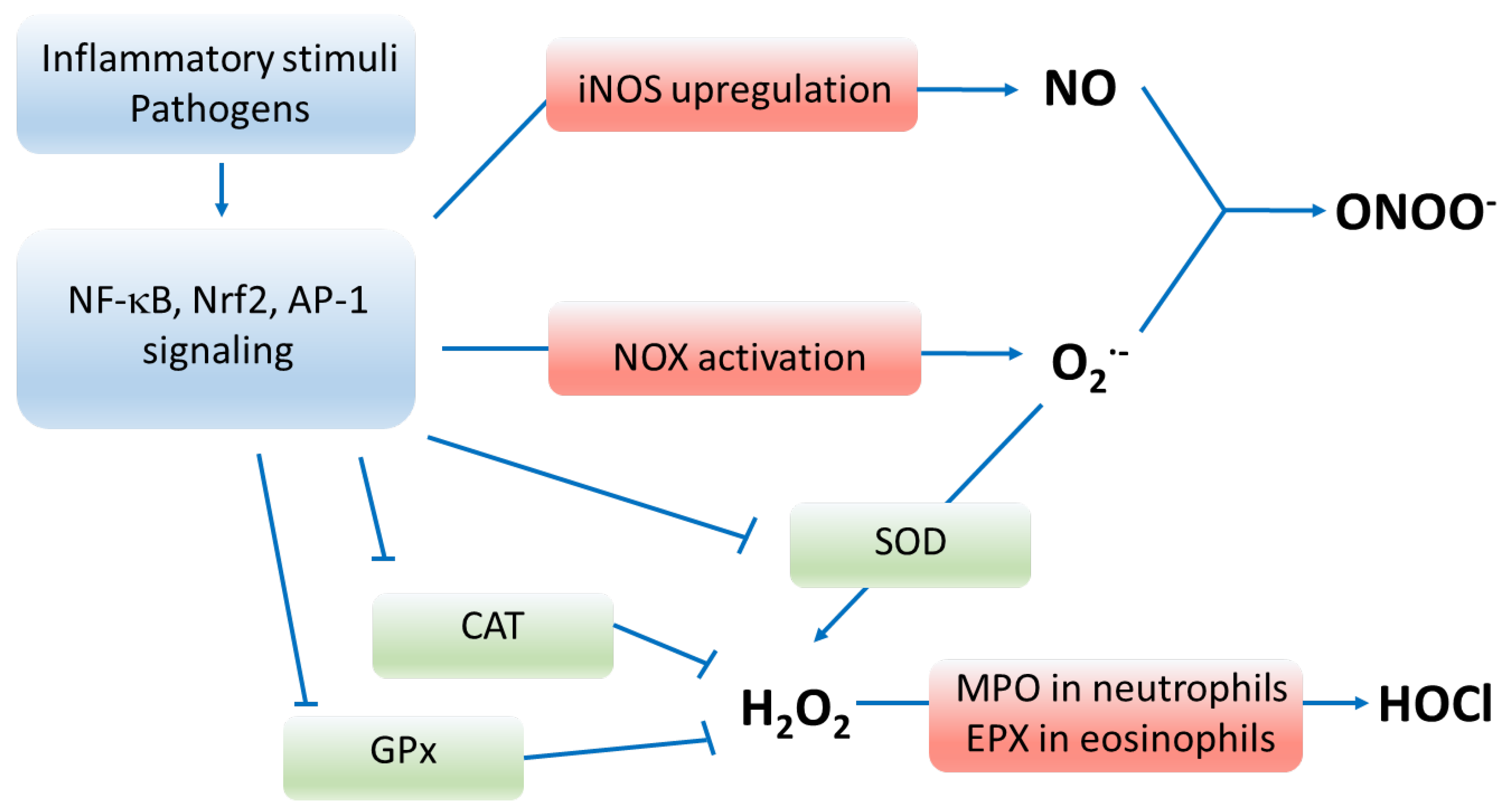 Antioxidants 12 01196 g001
