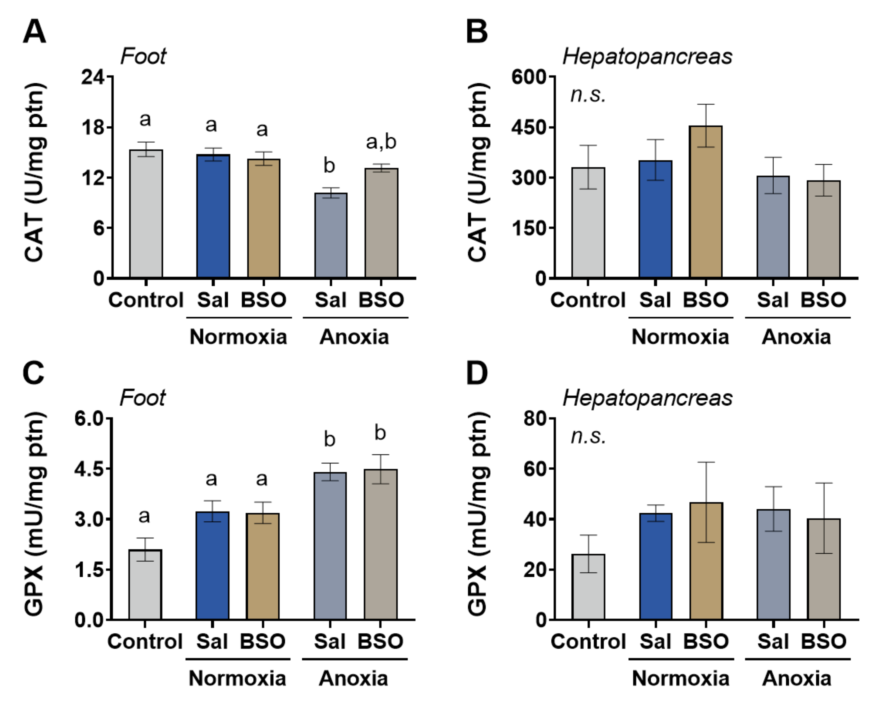 Antioxidants 12 01197 g004