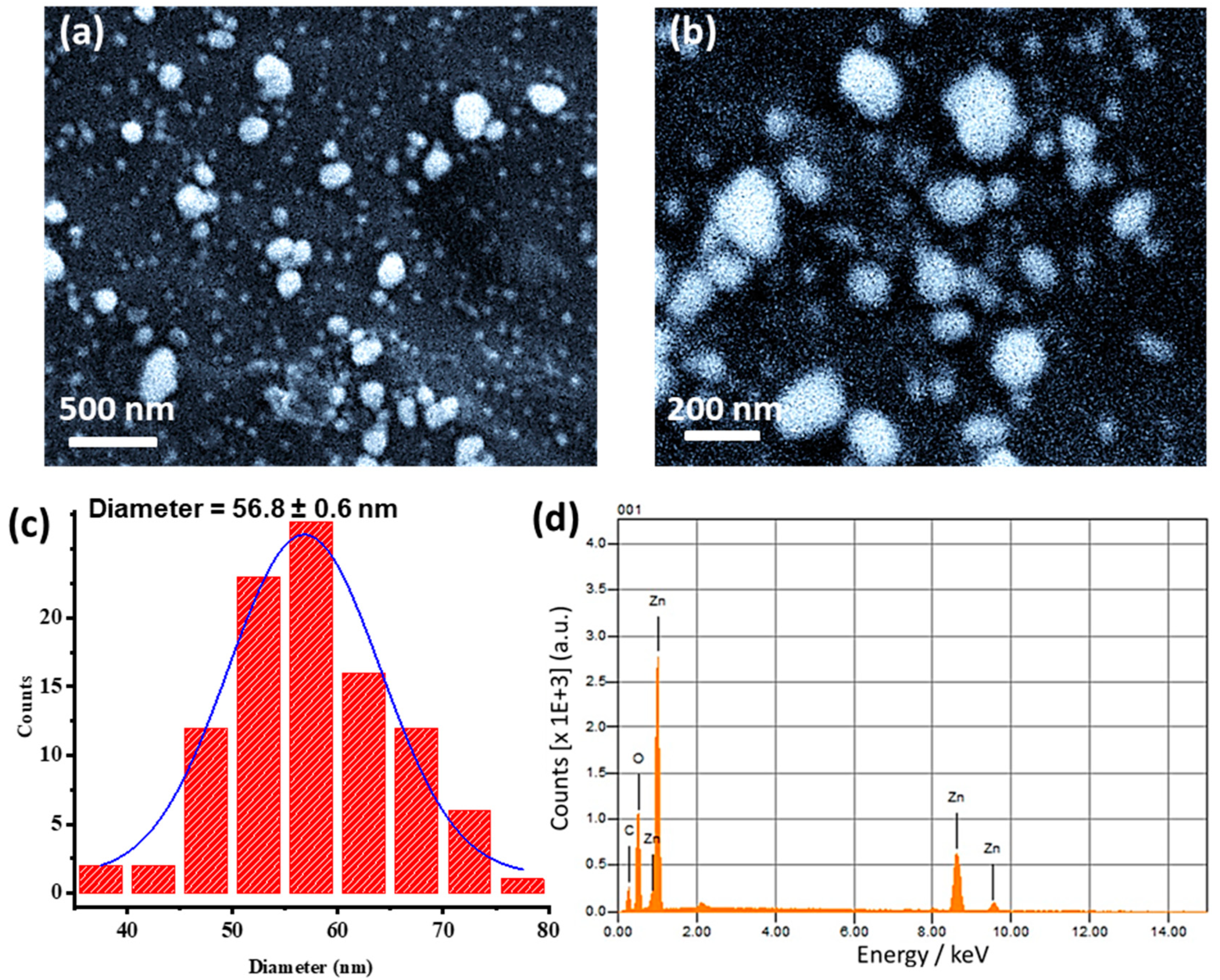 Antioxidants 12 01201 g004 Antioxidants 12 01201 g004
