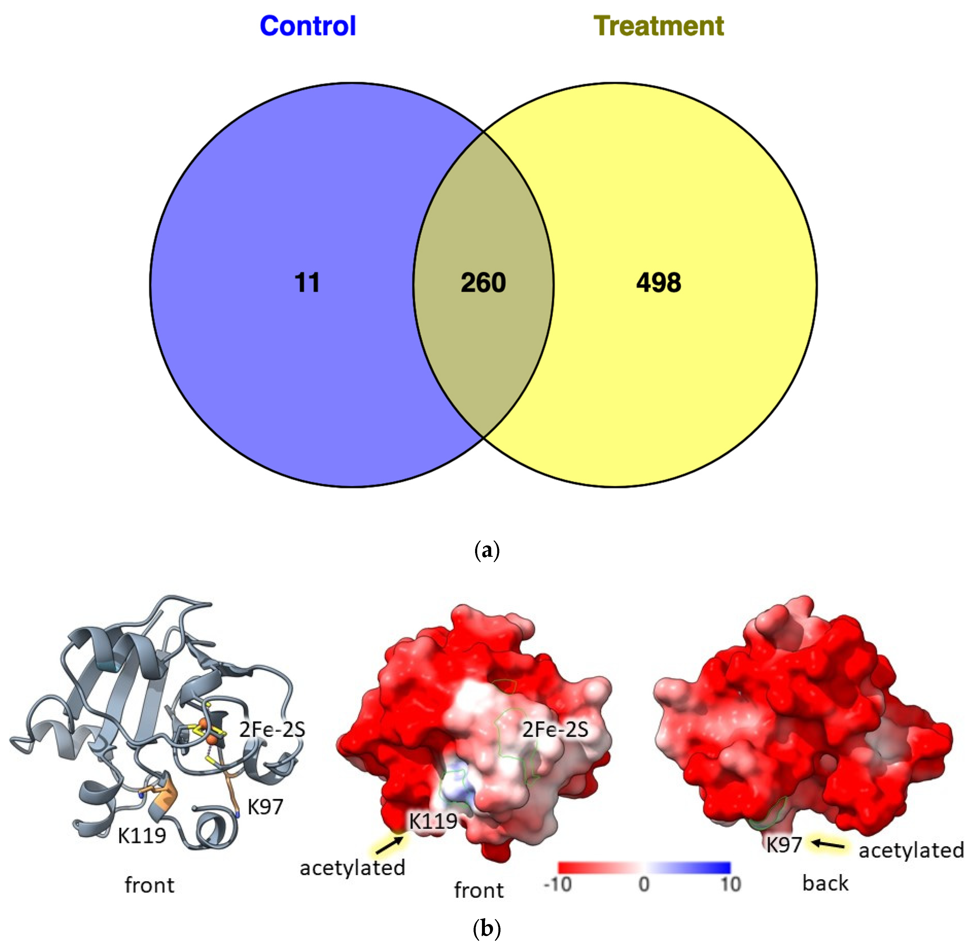 Antioxidants 12 01203 g006 Antioxidants 12 01203 g006
