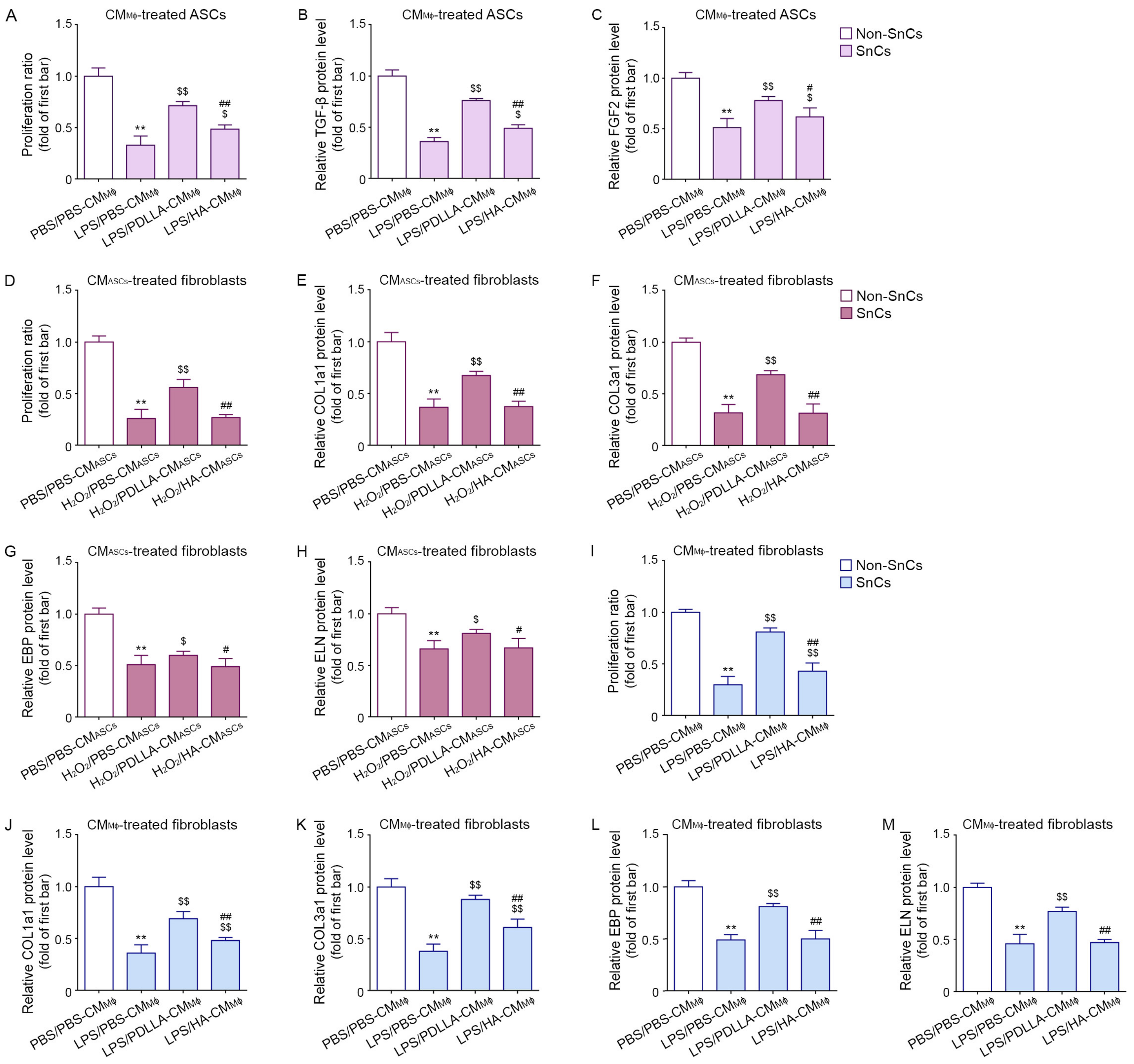 Antioxidants 12 01204 g003 Antioxidants 12 01204 g003