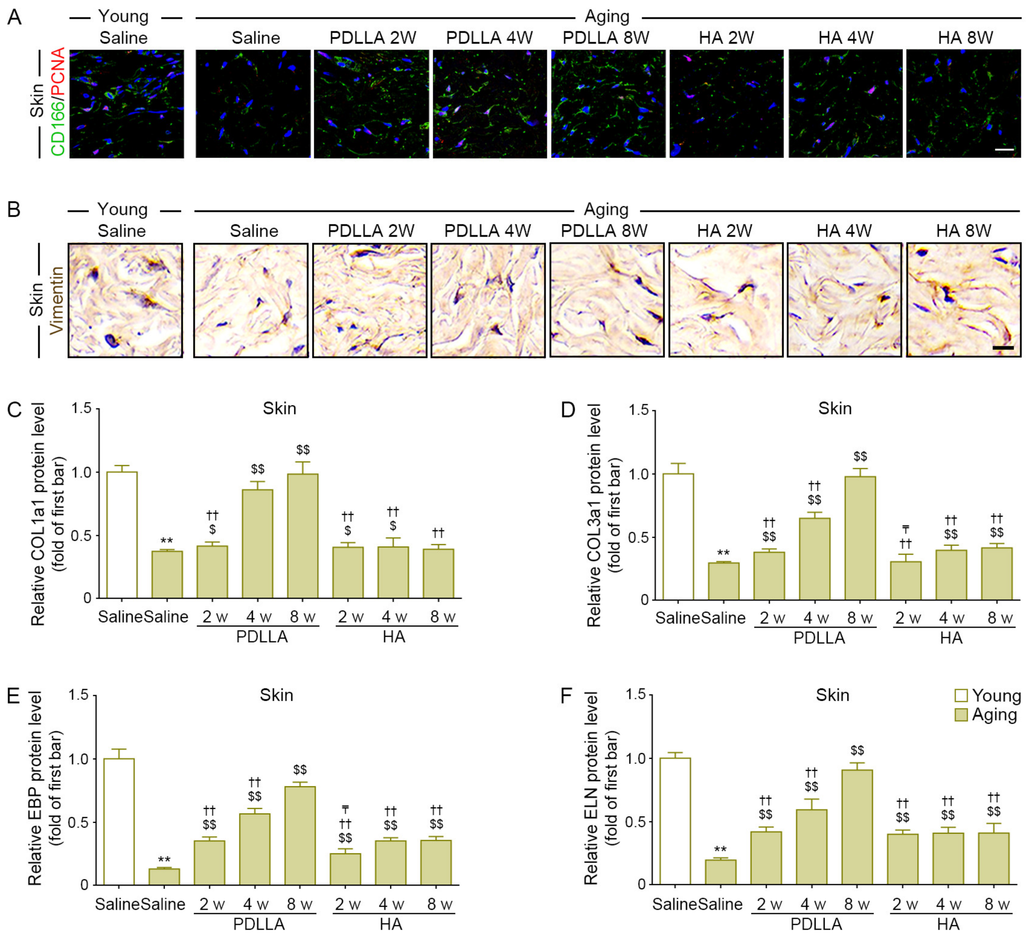 Antioxidants 12 01204 g004 Antioxidants 12 01204 g004