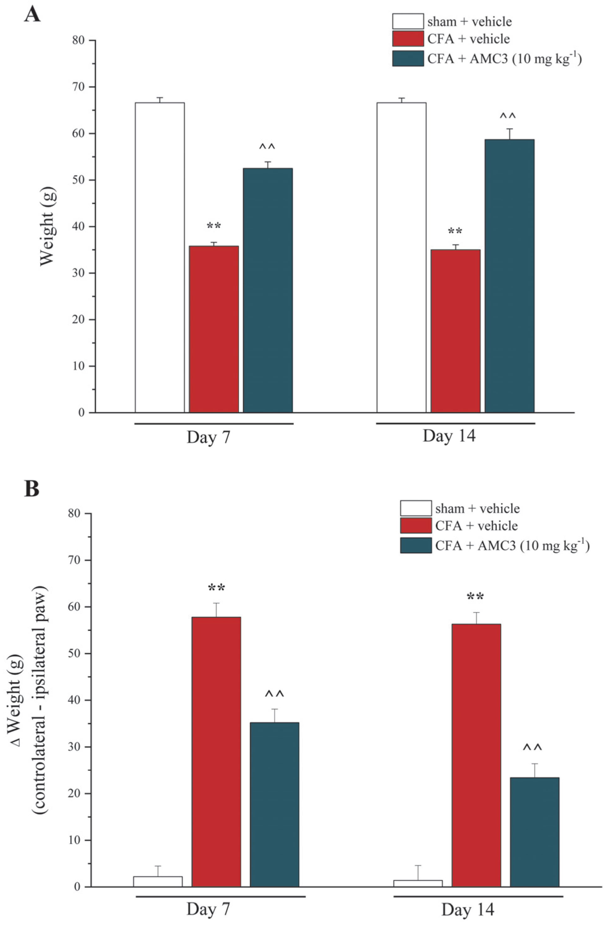 Antioxidants 12 01207 g005 Antioxidants 12 01207 g005