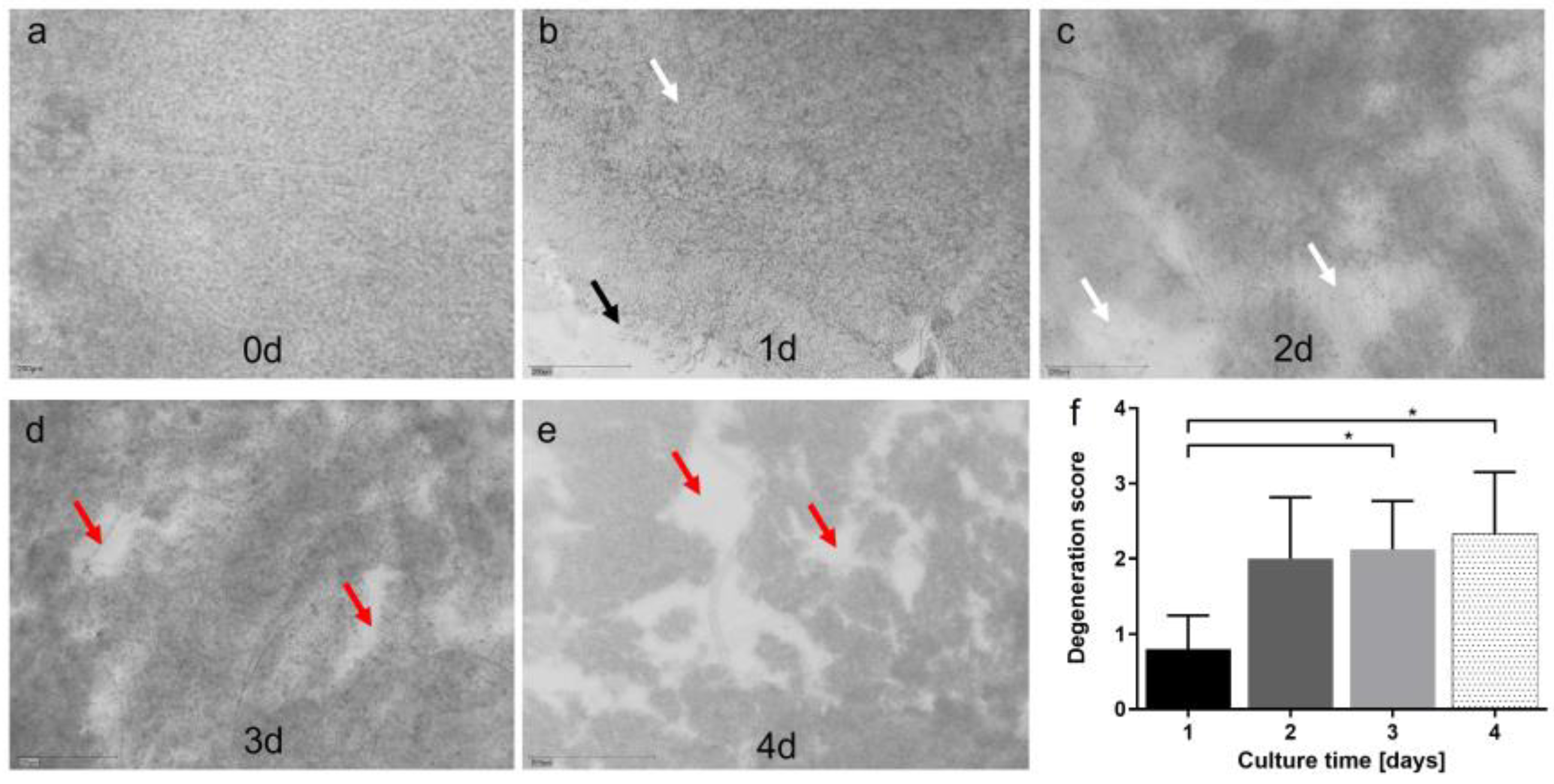 Antioxidants 12 01211 g006