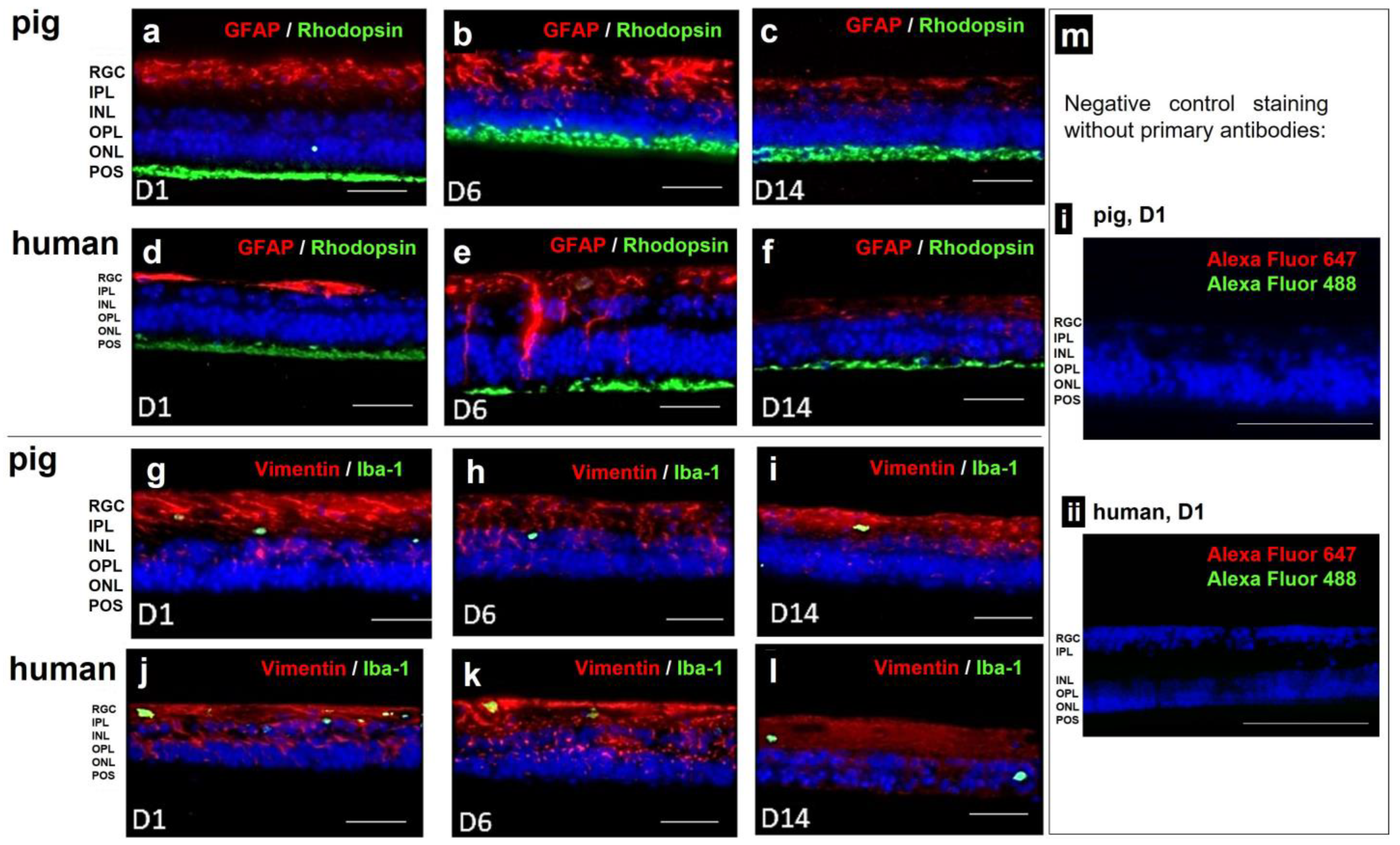 Antioxidants 12 01211 g010