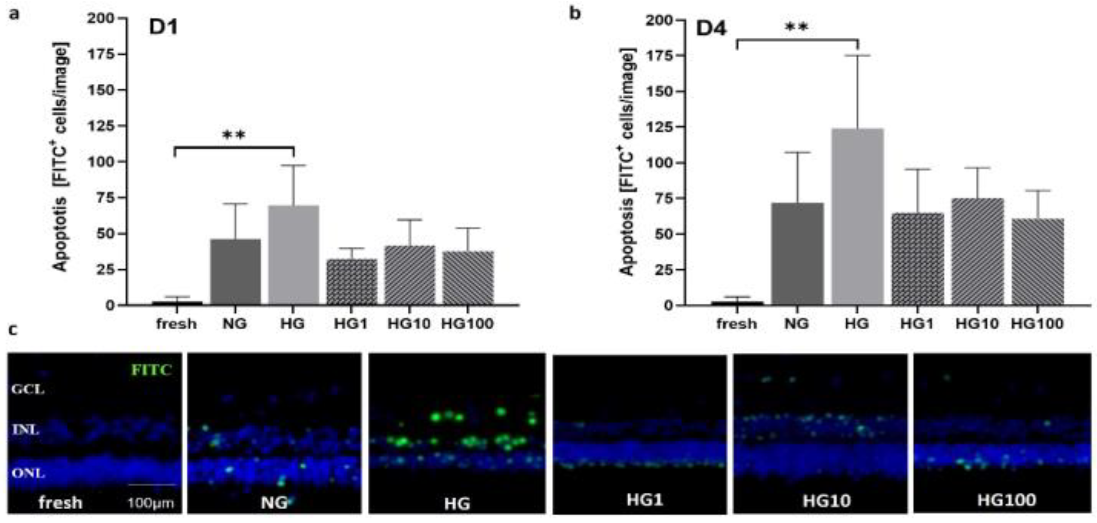 Antioxidants 12 01211 g012