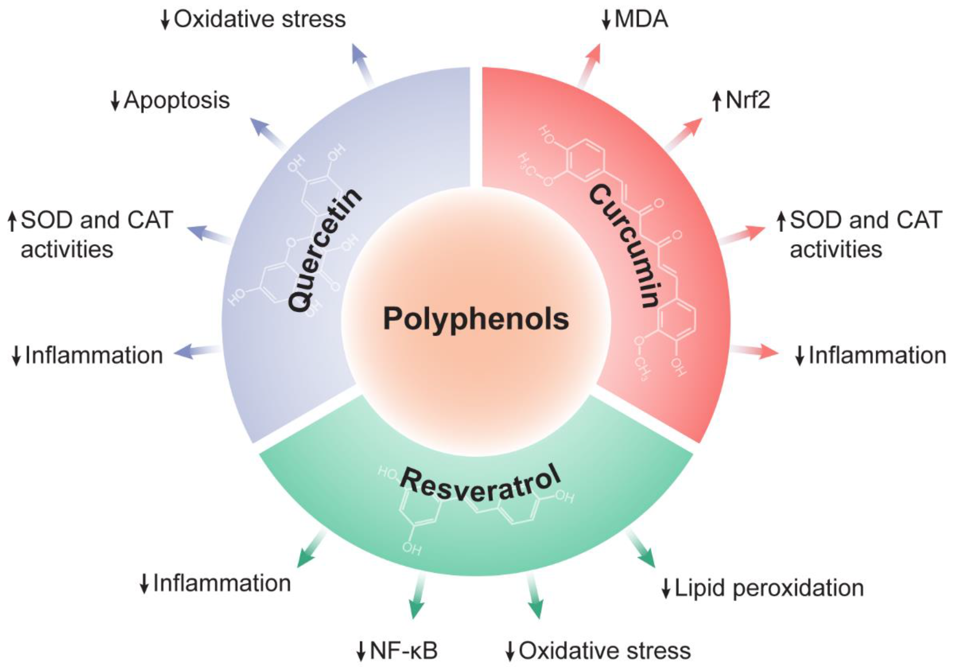 Antioxidants Free FullText Targeting Oxidative Stress with