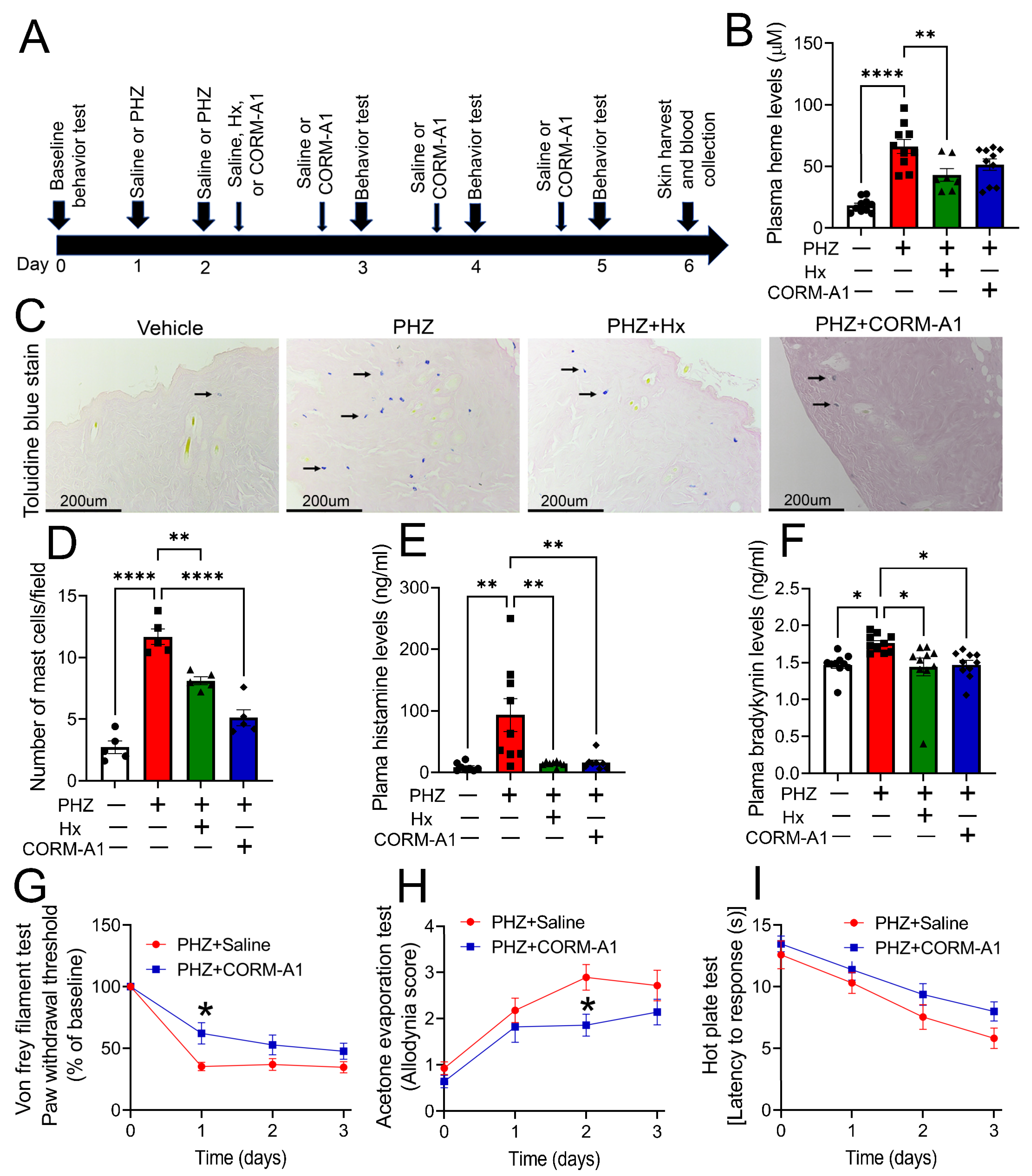 Antioxidants 12 01213 g004