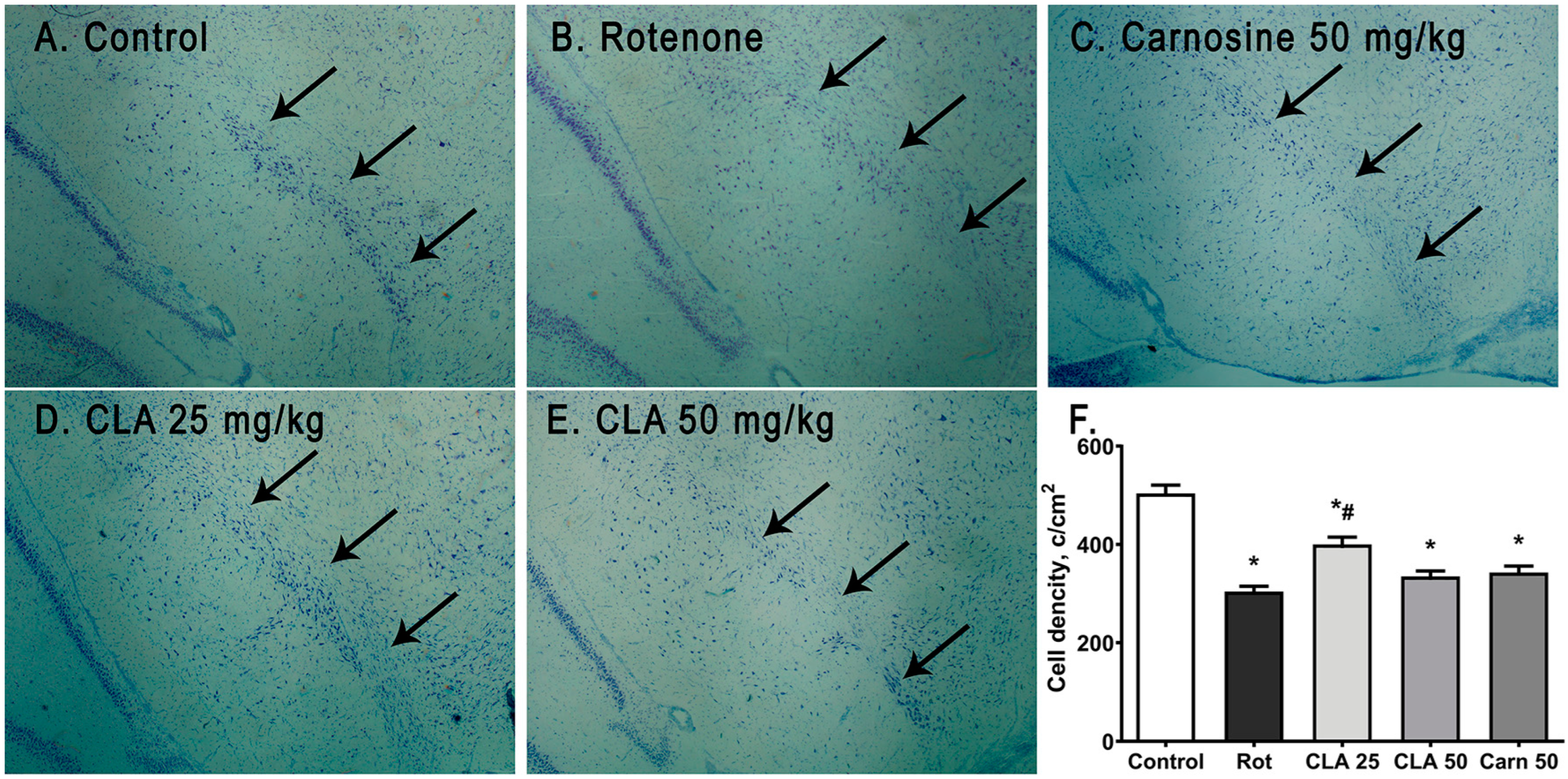 Antioxidants 12 01215 g004